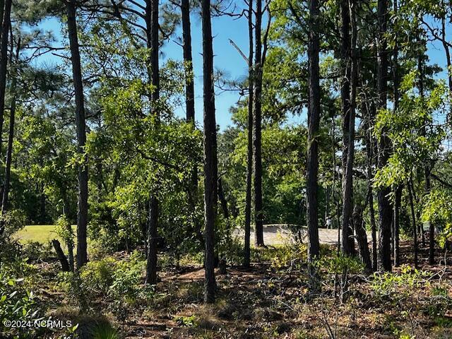 Lot 81 Trevino Road Property Photo 9