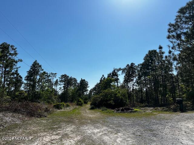 Lot 81 Trevino Road Property Photo 15