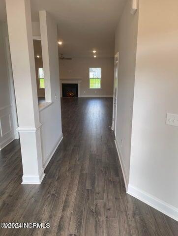 1421 Mona Passage Court Property Photo 5