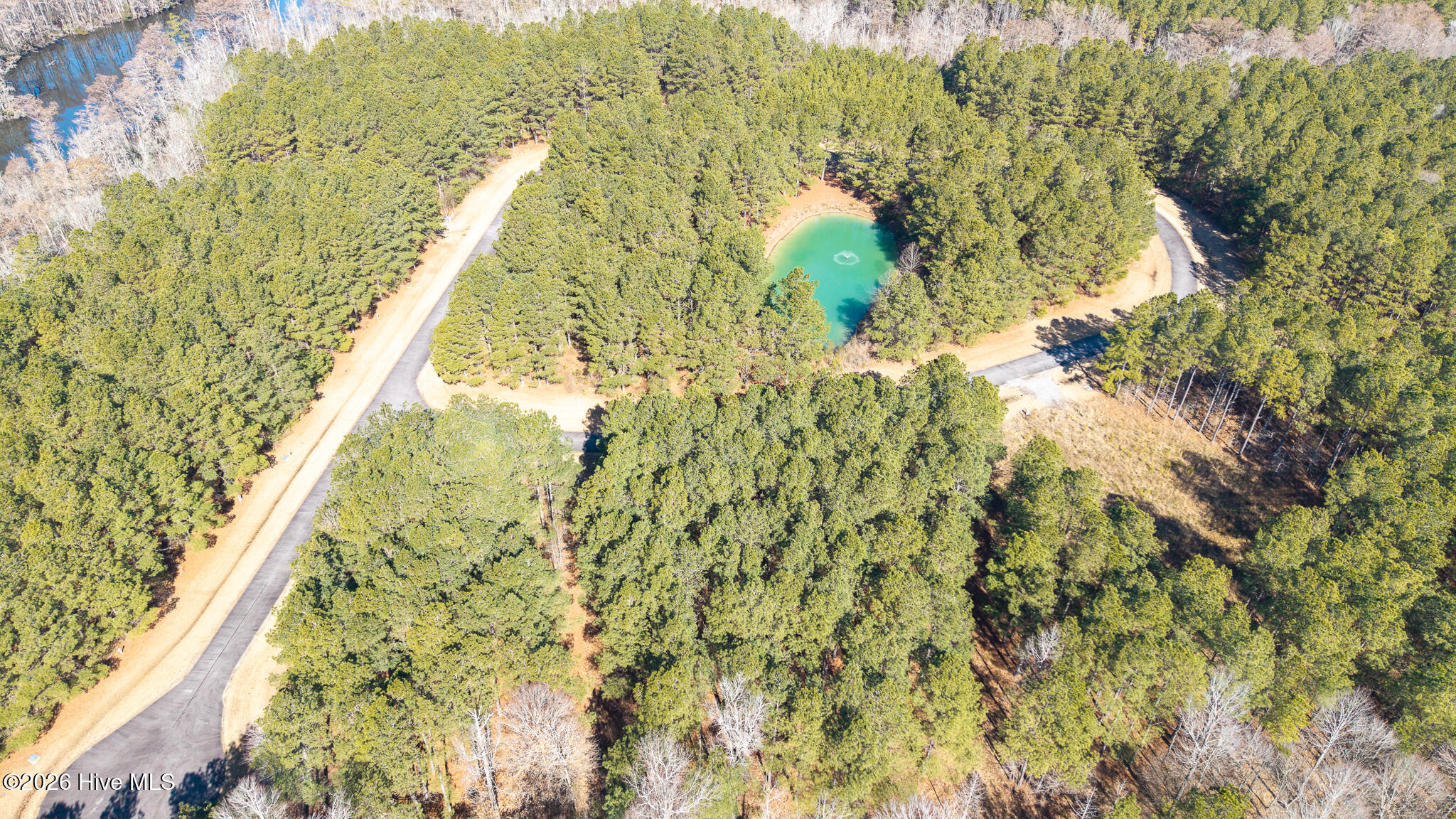 404 207 Plumtree Circle Property Photo 9