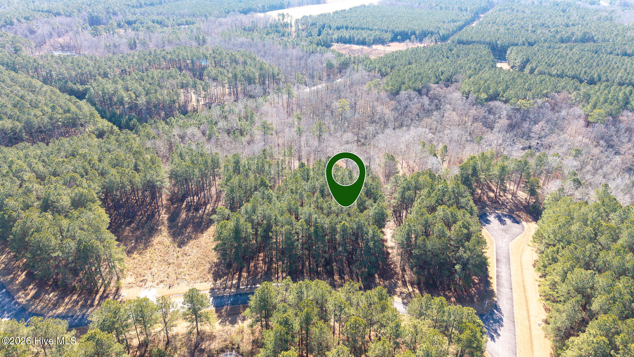 404 207 Plumtree Circle Property Photo 12