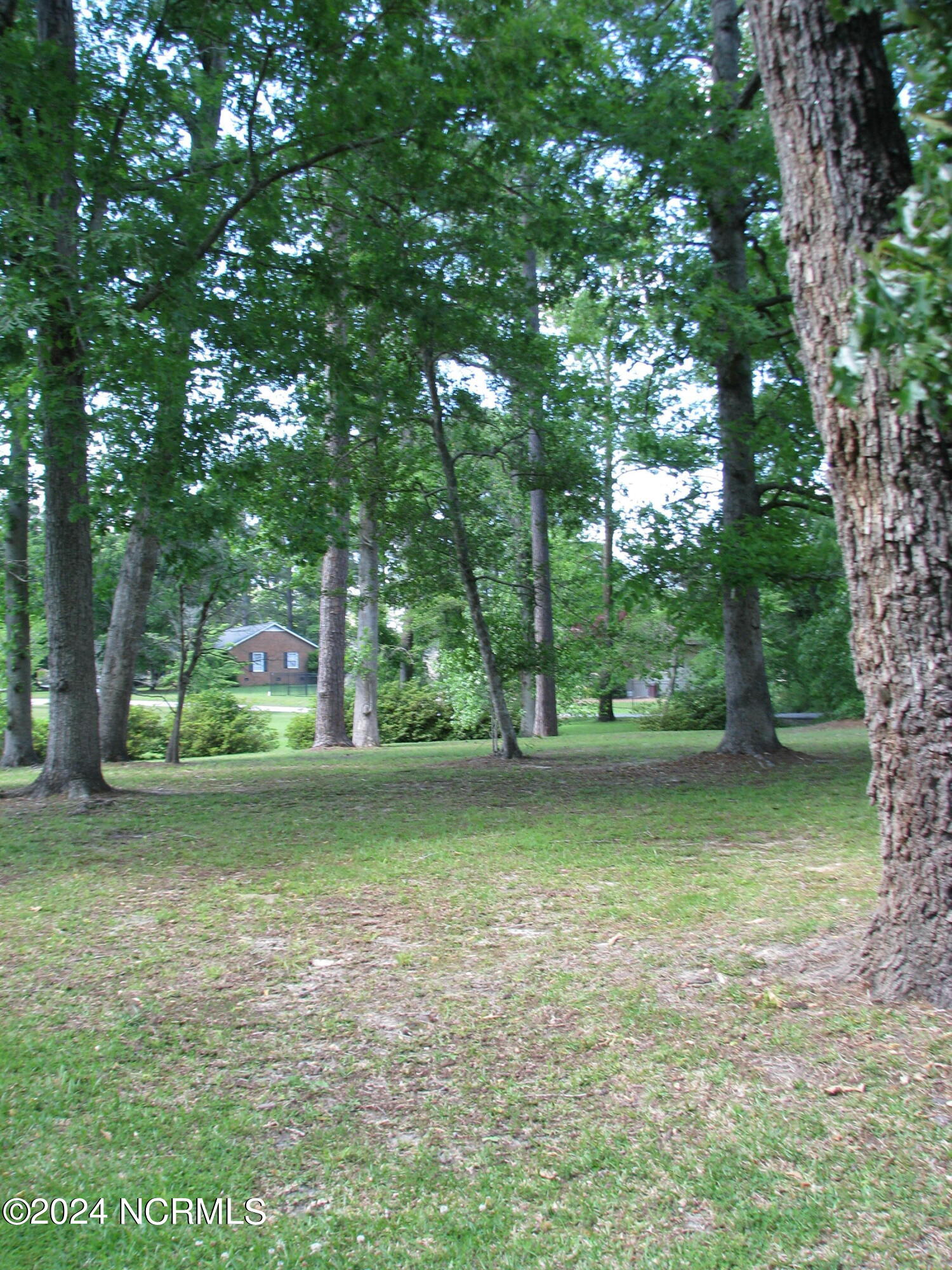 107 Broad Leaf Drive Property Photo 30