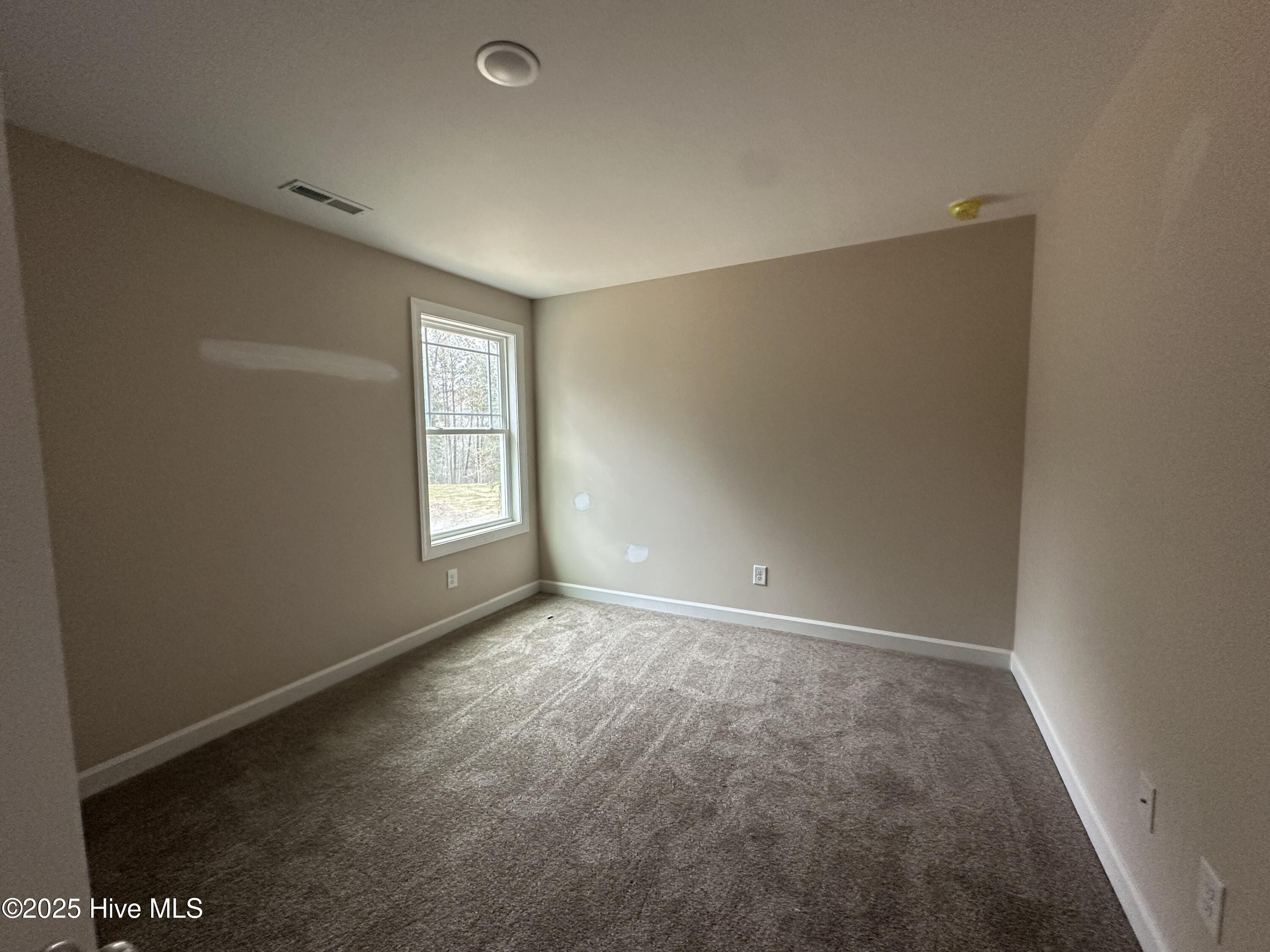 131 Wilderness Trail Property Photo 8