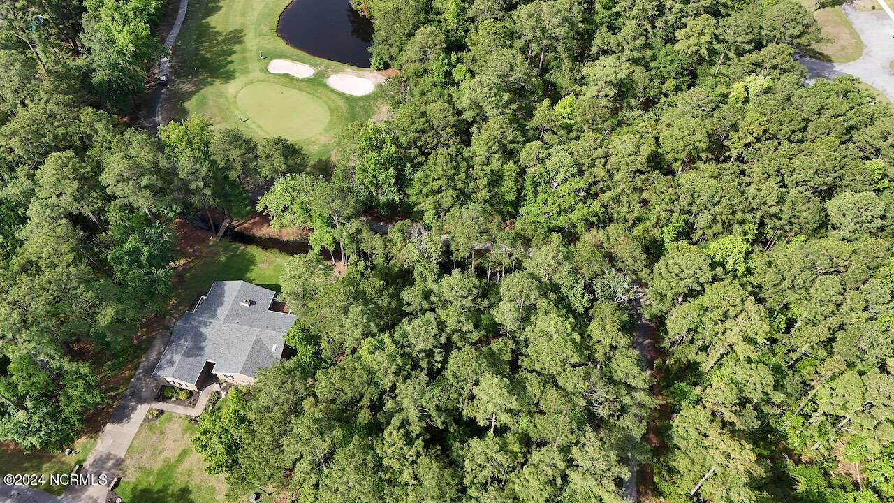 1111 Harbour Pointe Drive Property Photo 7