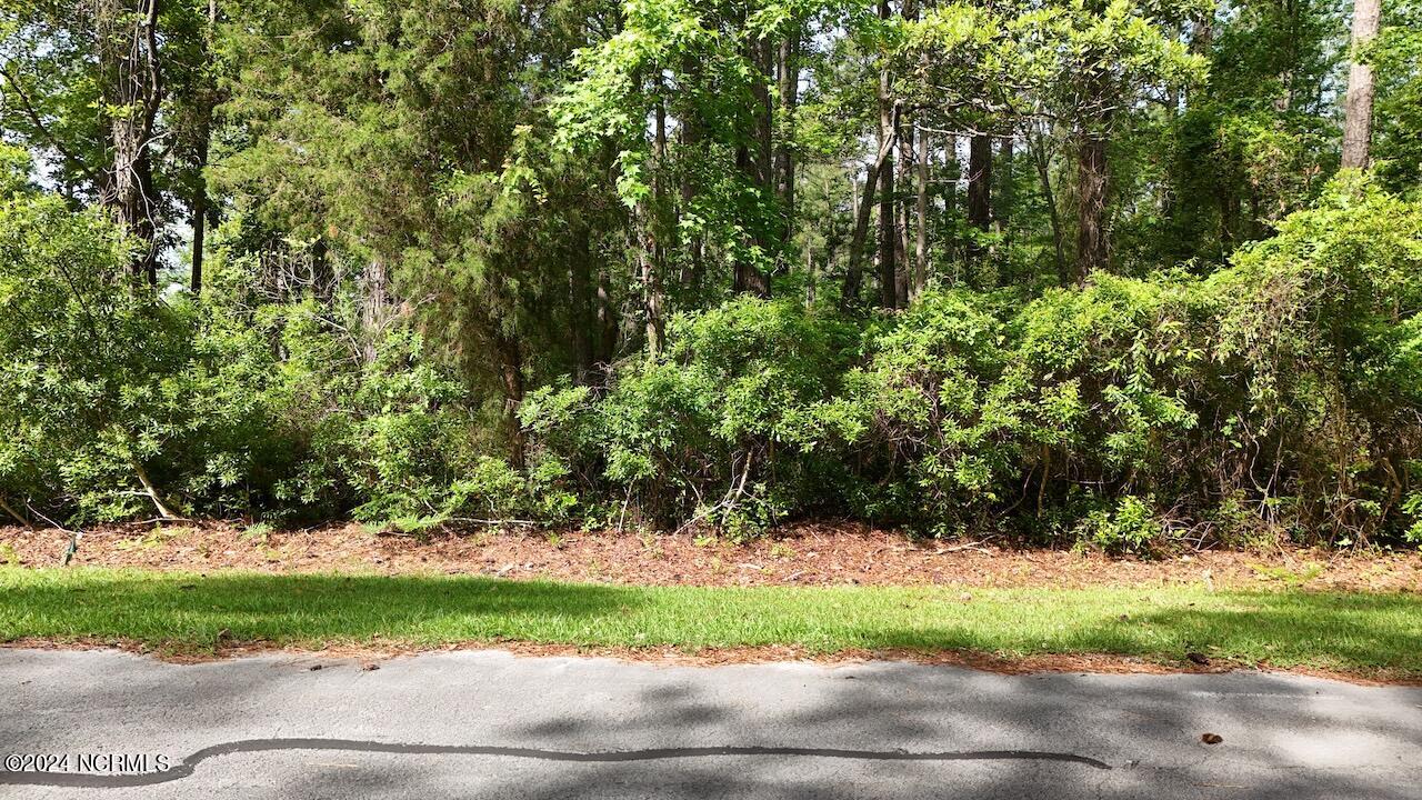1111 Harbour Pointe Drive Property Photo 10