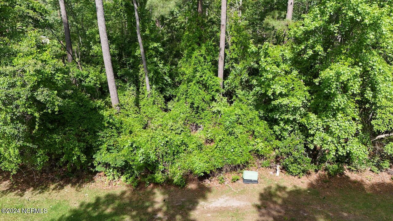 1111 Harbour Pointe Drive Property Photo 14
