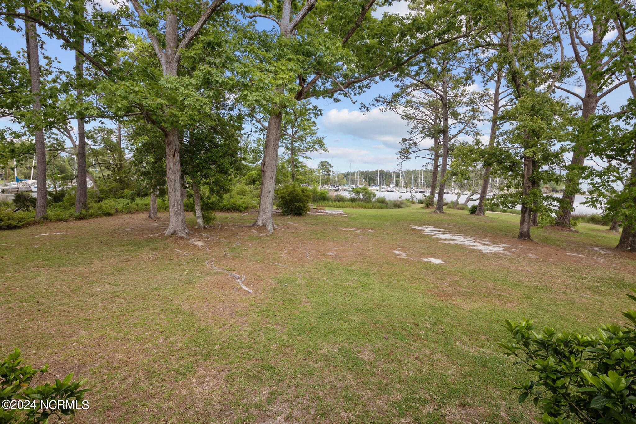 1210 Neuse Drive Property Photo 29