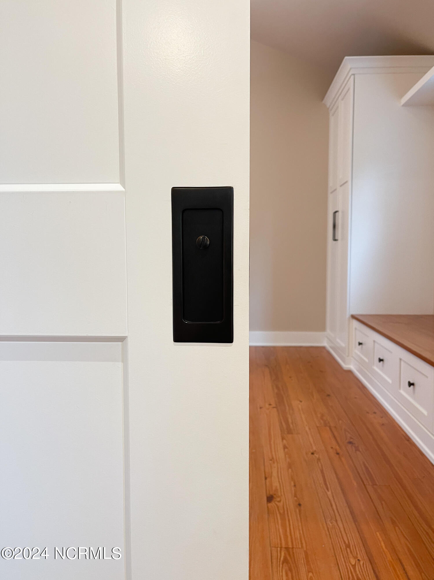 1801 Chestnut Street Property Photo 89