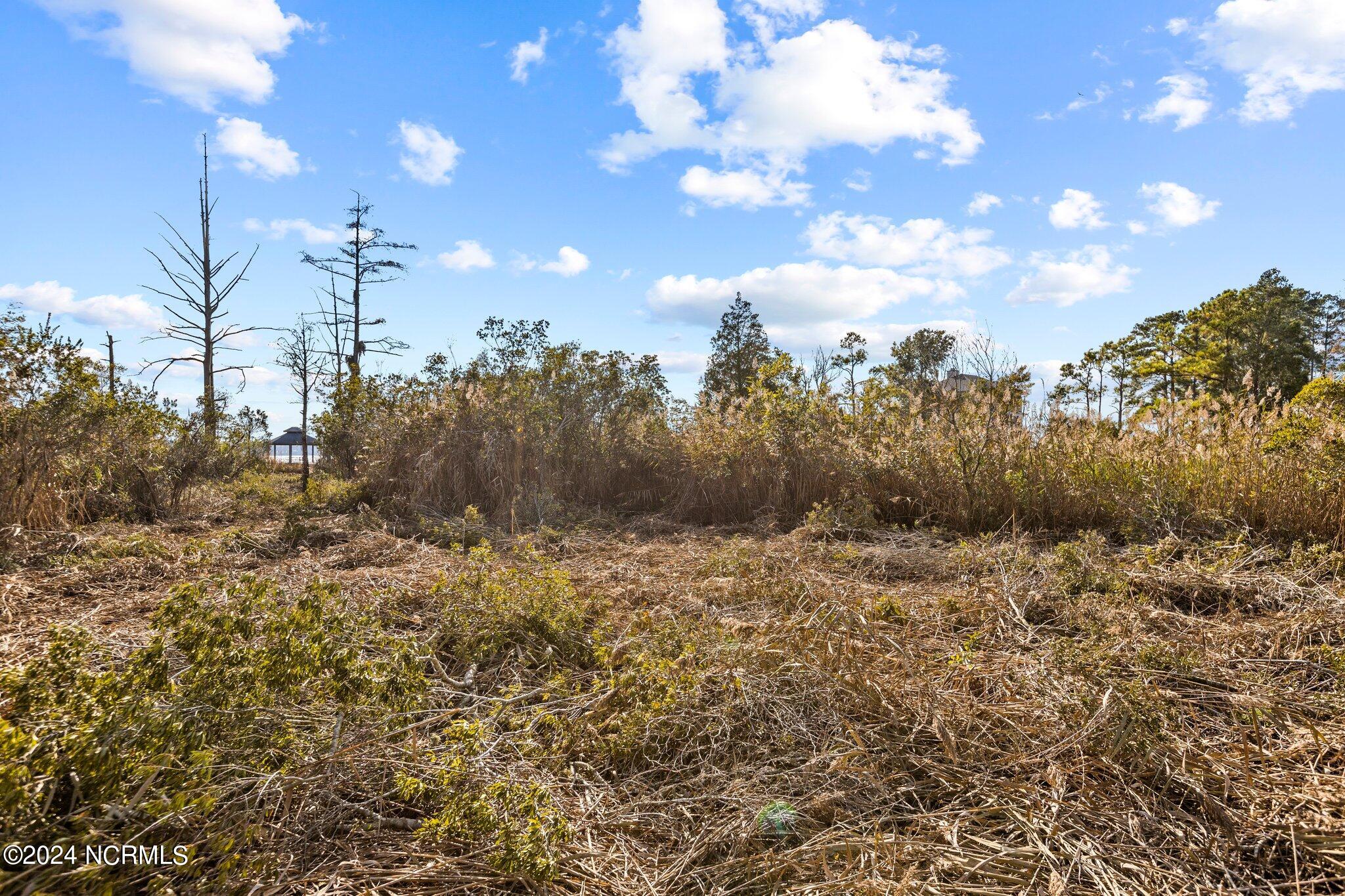 Lot 5 River Walk Drive Property Photo 6