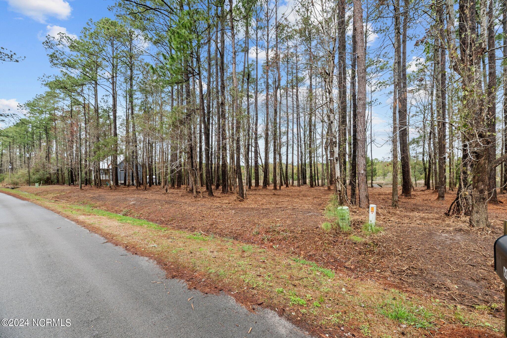 6013 Falcon Drive Property Photo 6
