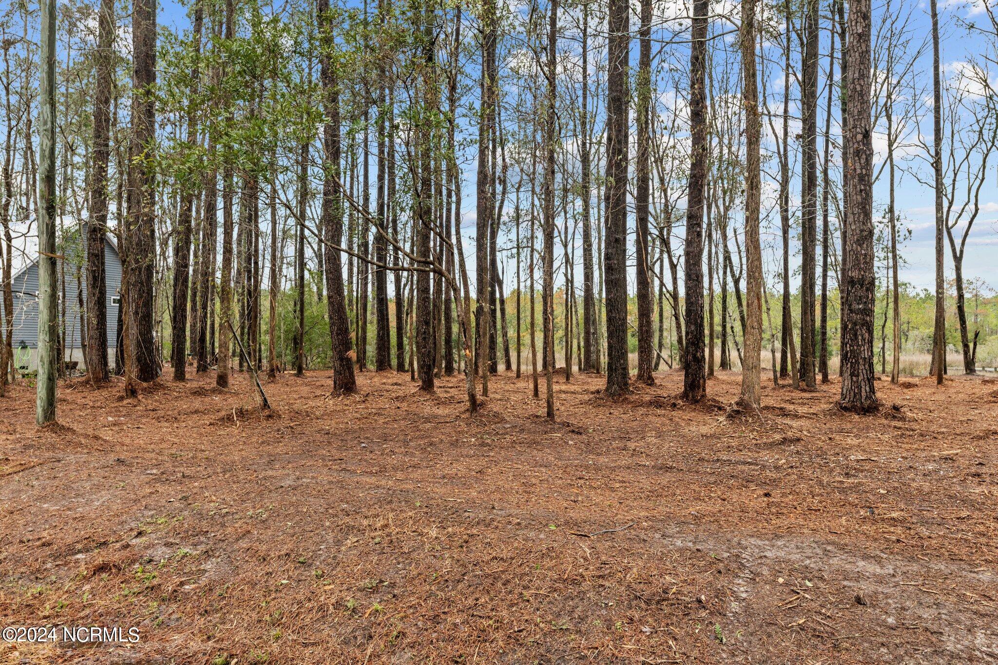6013 Falcon Drive Property Photo 9