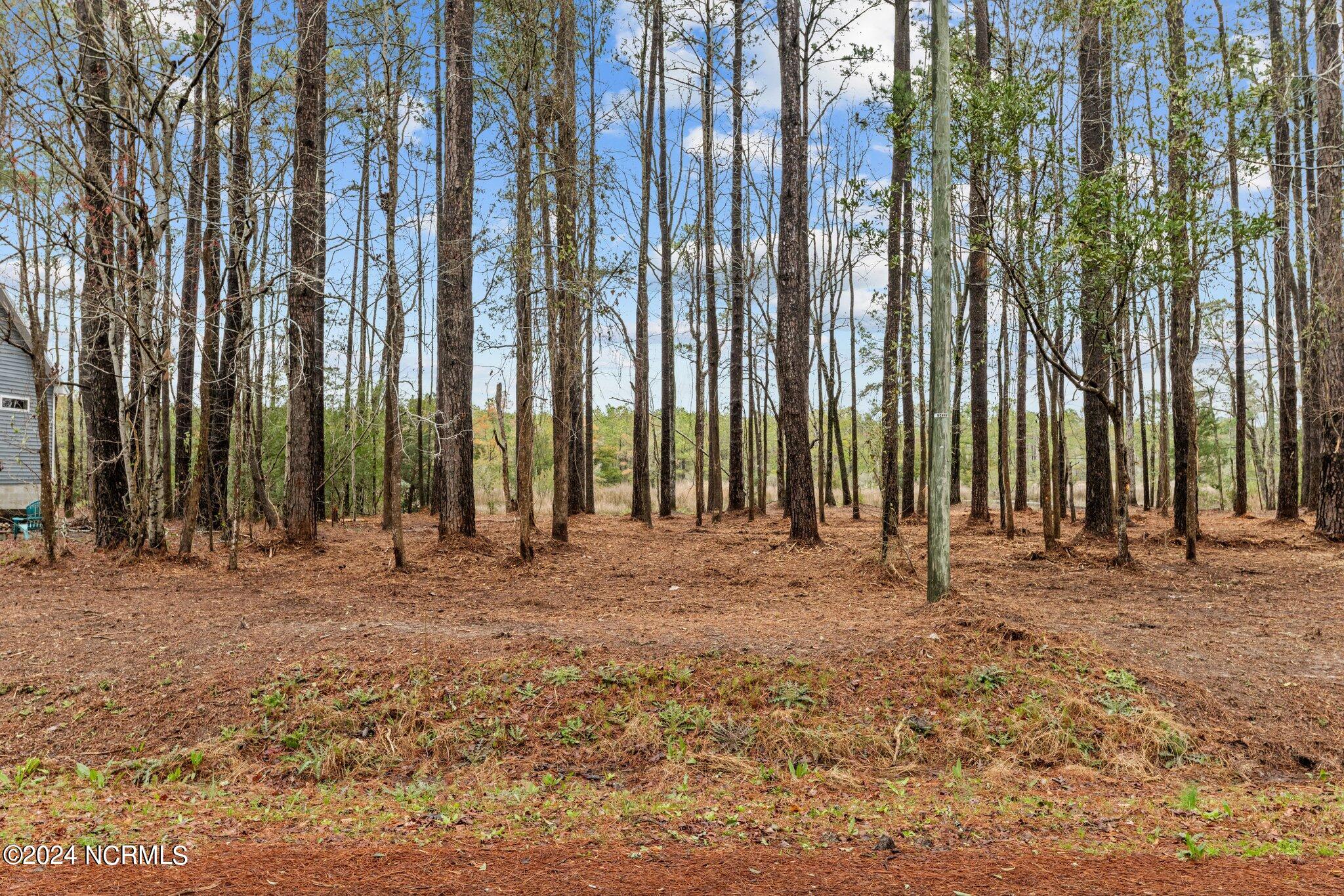 6013 Falcon Drive Property Photo 10