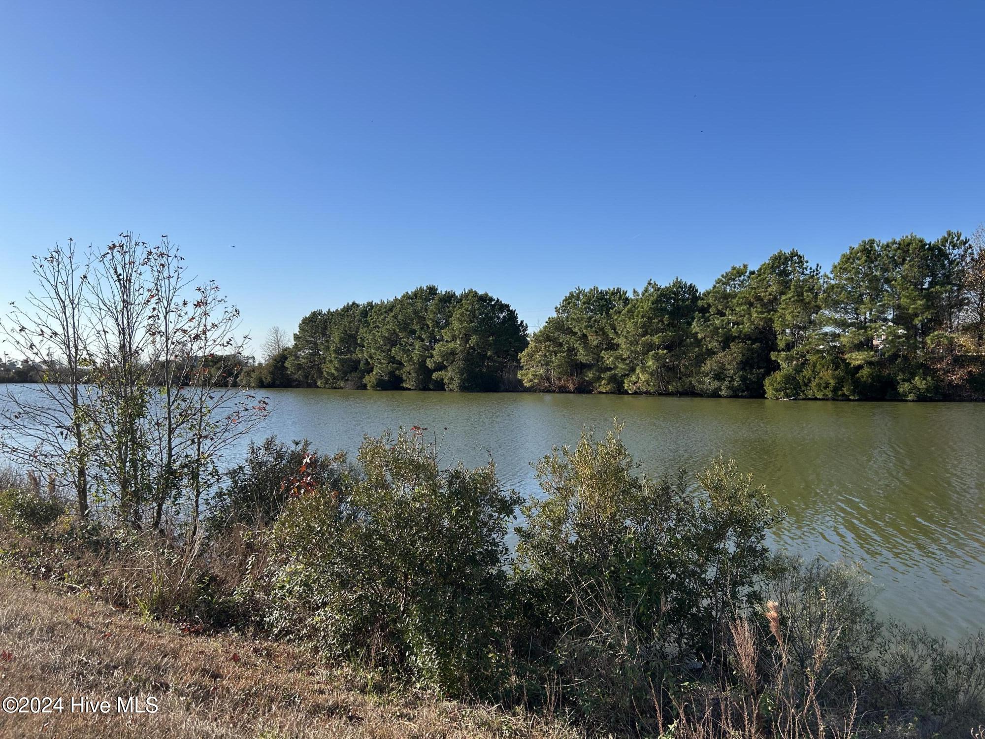 Lot 8 Blue Heron Boulevard Property Photo 1