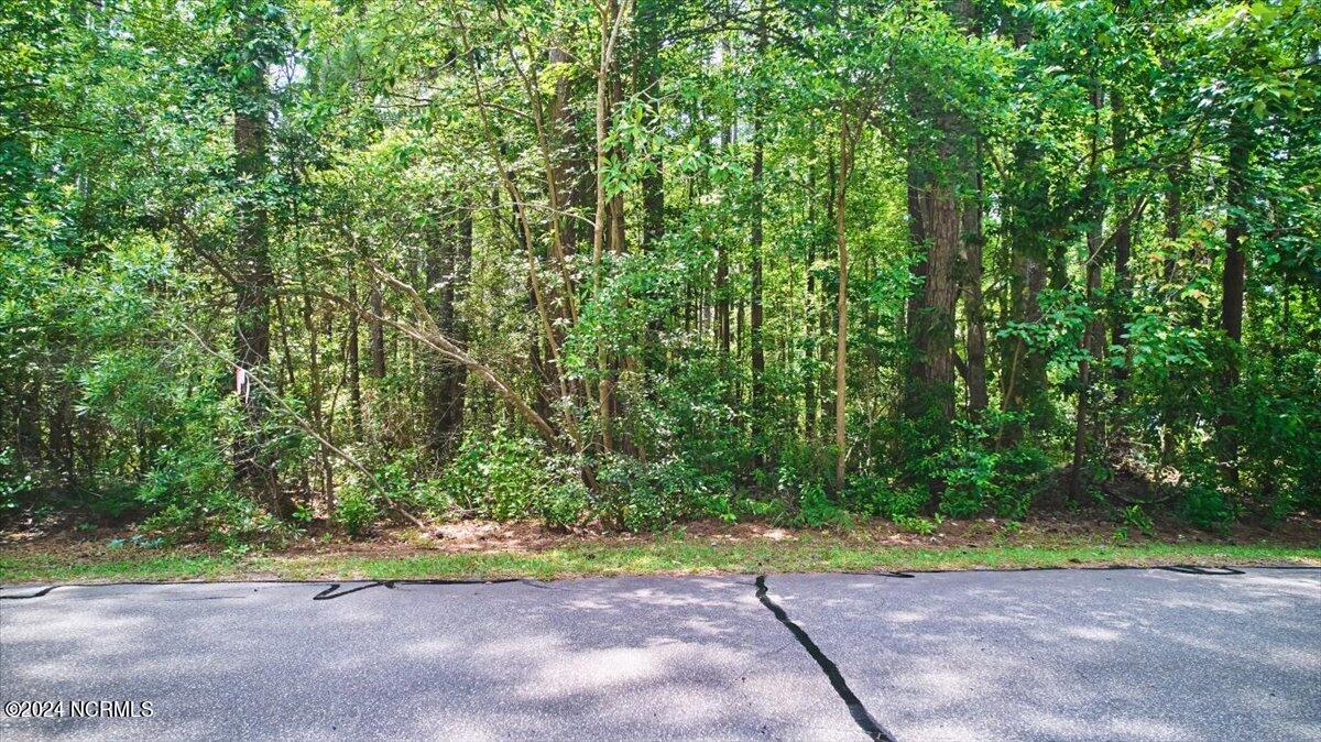 16 Lakeshore Drive Property Photo 6