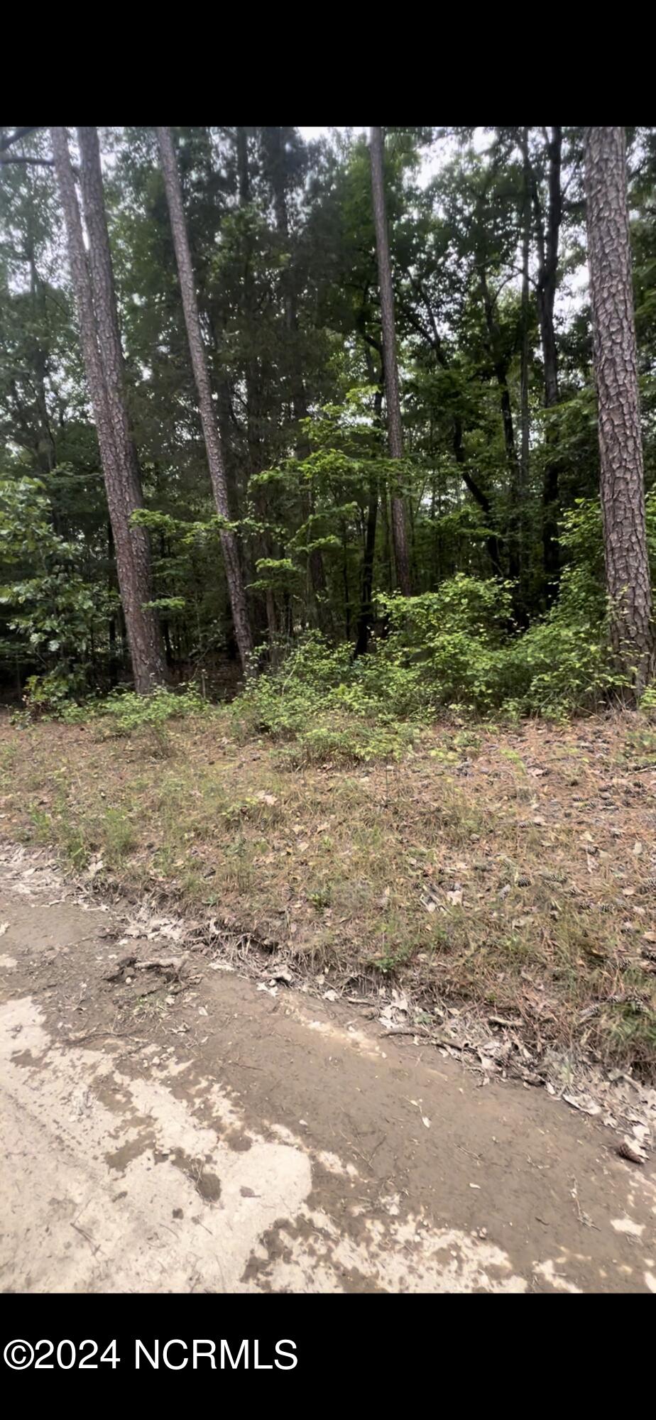 Lot 23 Cedar Lane Property Photo