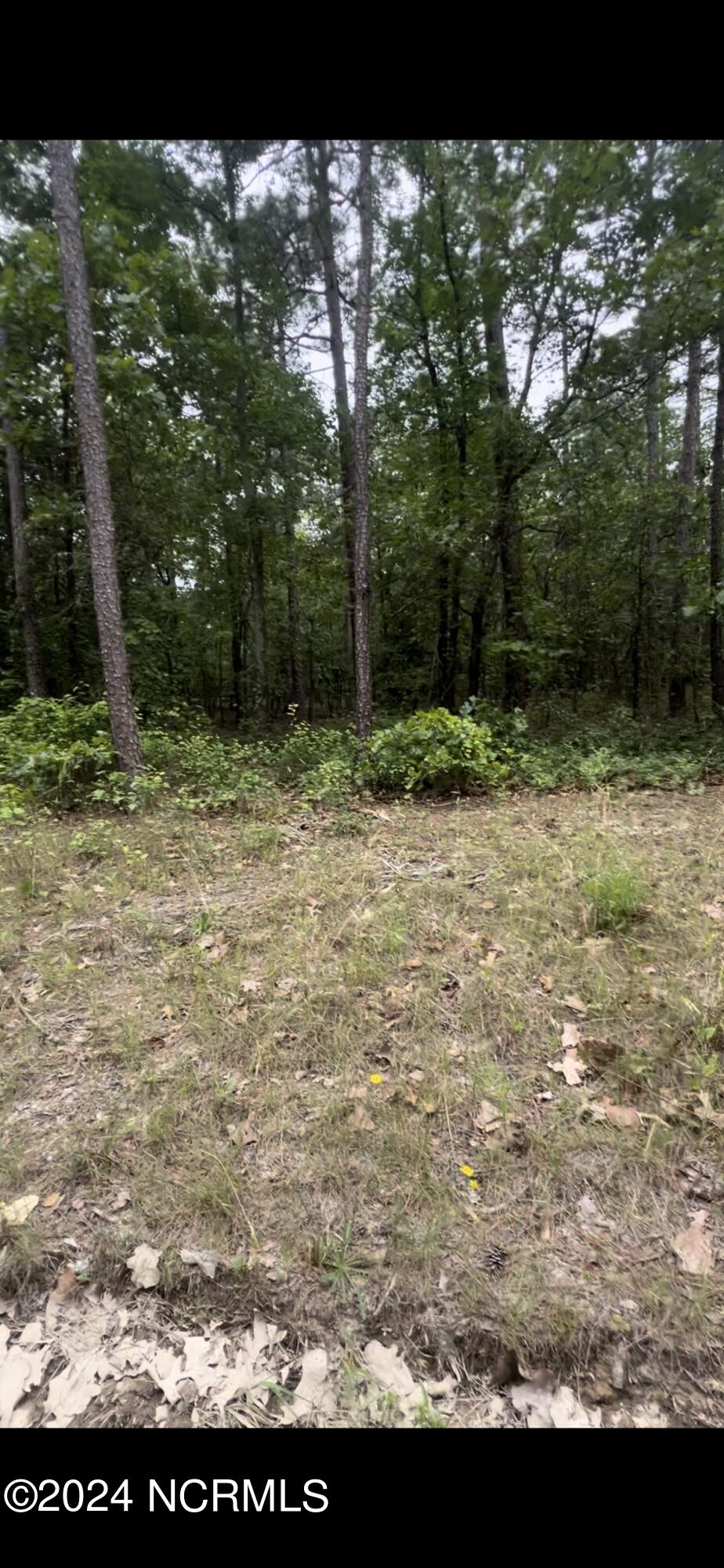 Lot 23 Cedar Lane Property Photo 2