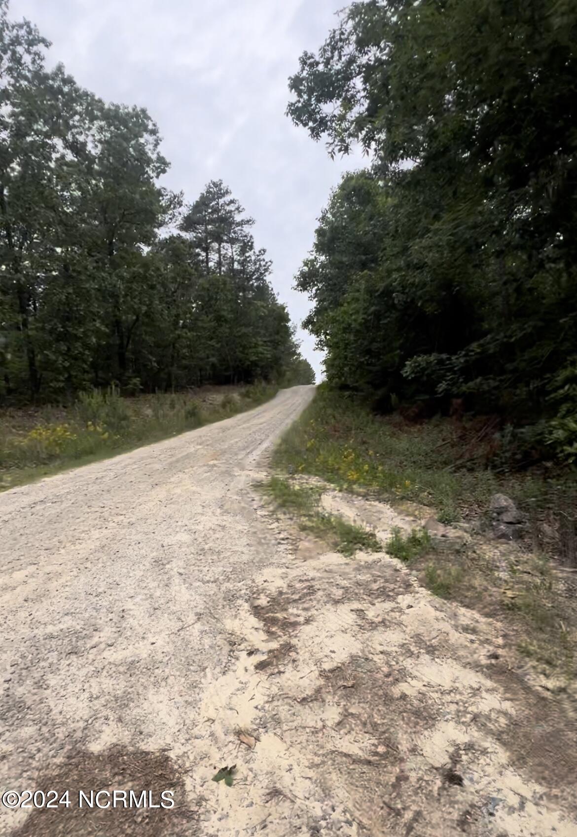 Lot 23 Cedar Lane Property Photo 3