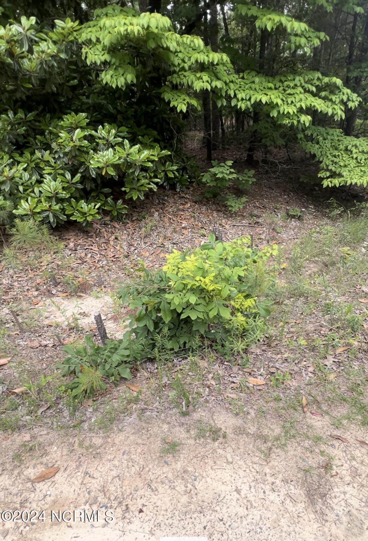 Lot 23 Cedar Lane Property Photo 4