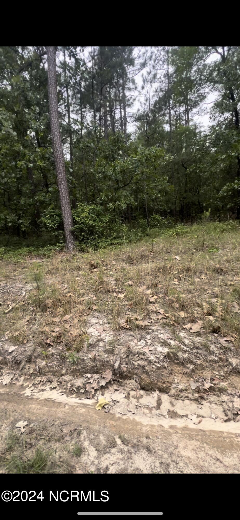 Lot 23 Cedar Lane Property Photo 5
