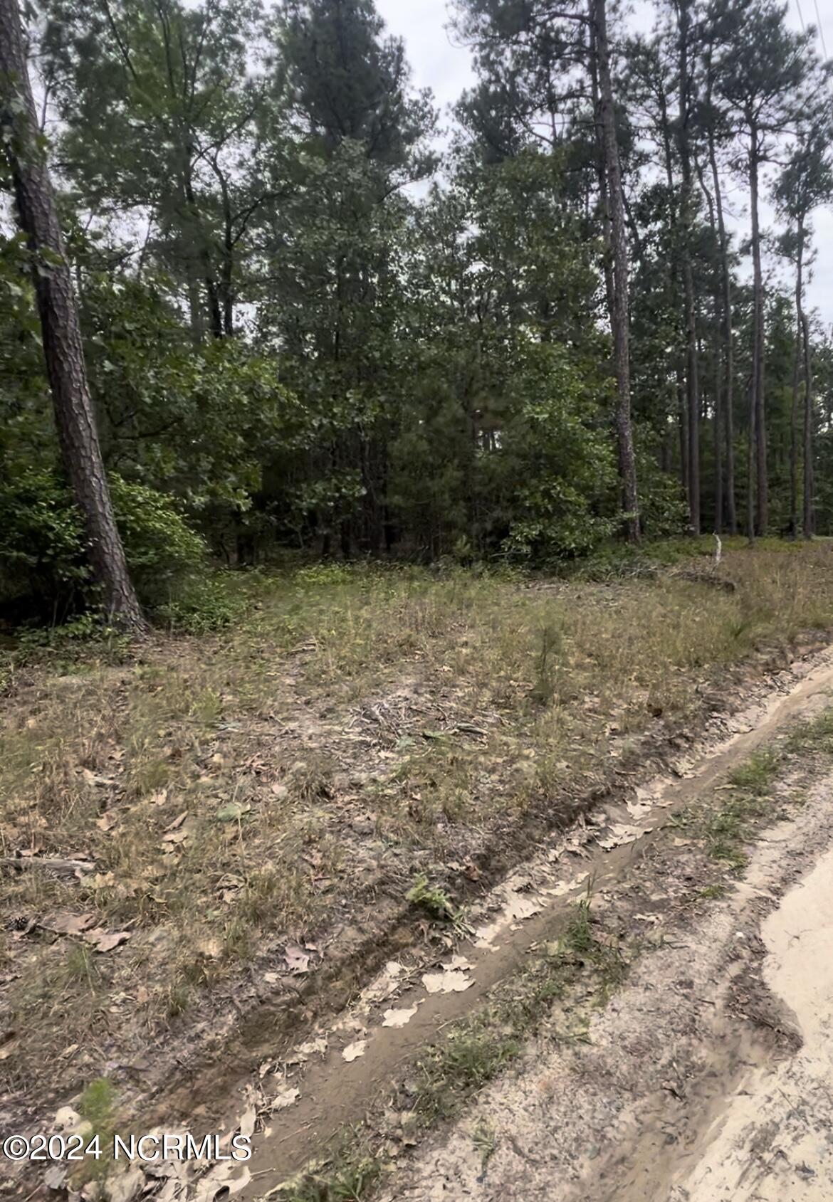 Lot 23 Cedar Lane Property Photo 6