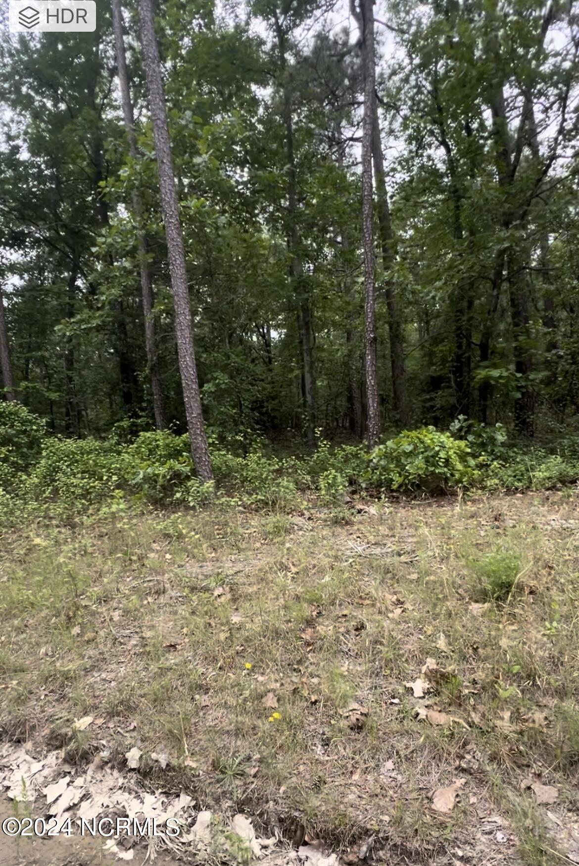 Lot 23 Cedar Lane Property Photo 7