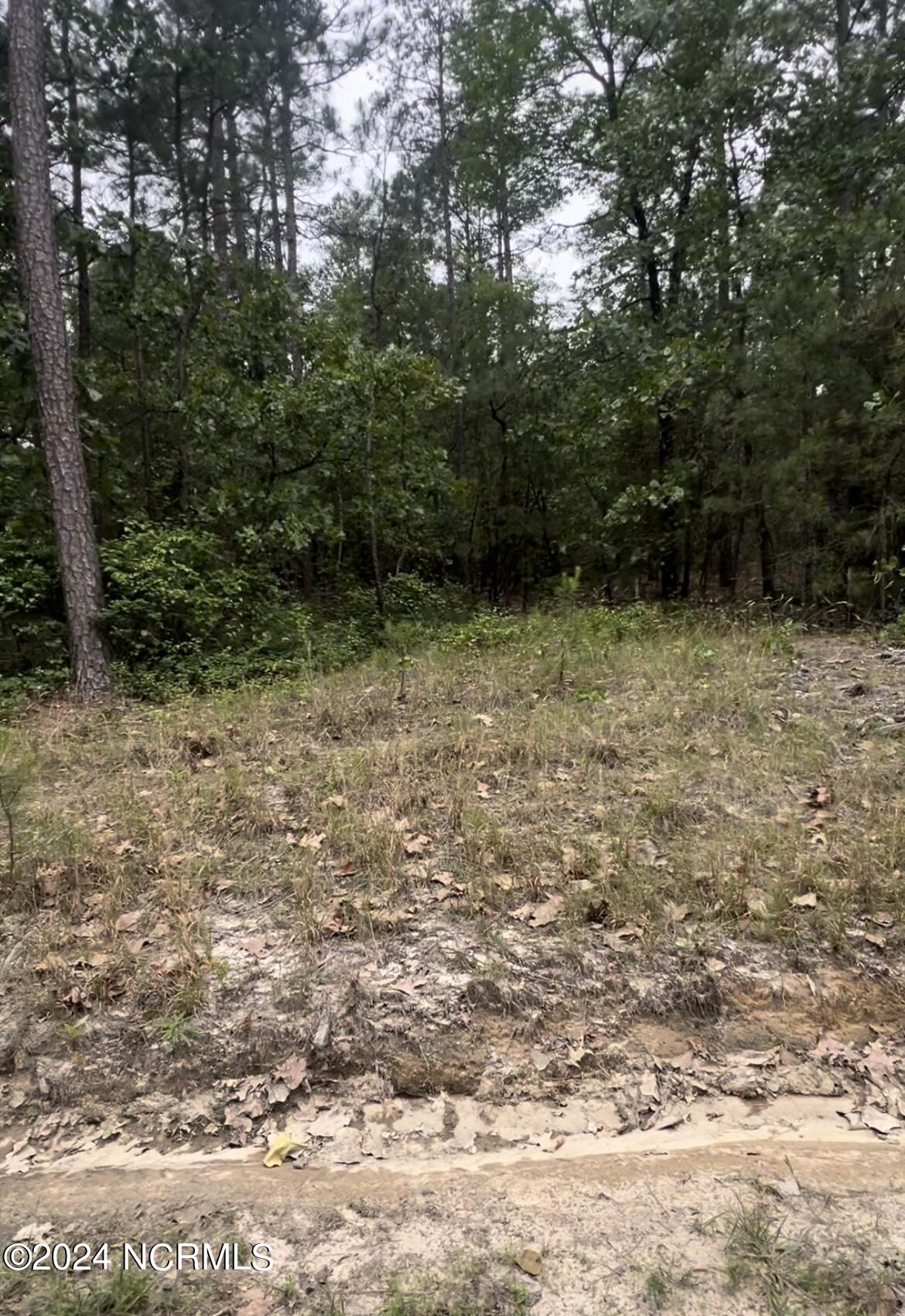 Lot 23 Cedar Lane Property Photo 8