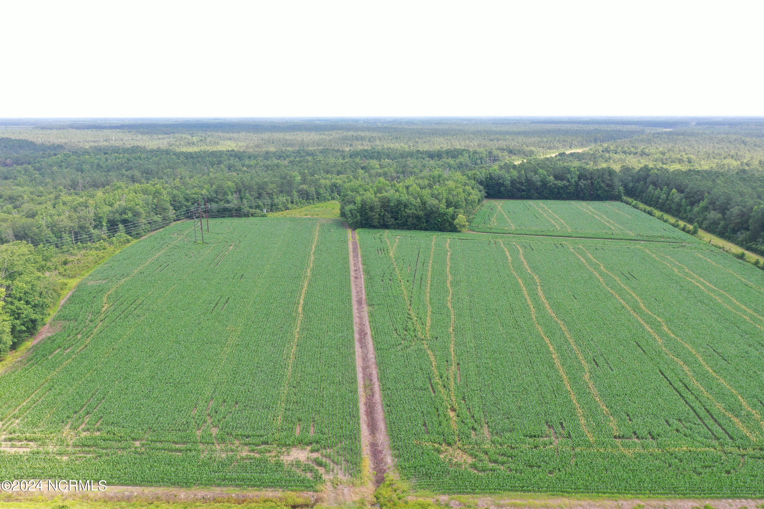 Tbd Pelham Road Property Photo 1