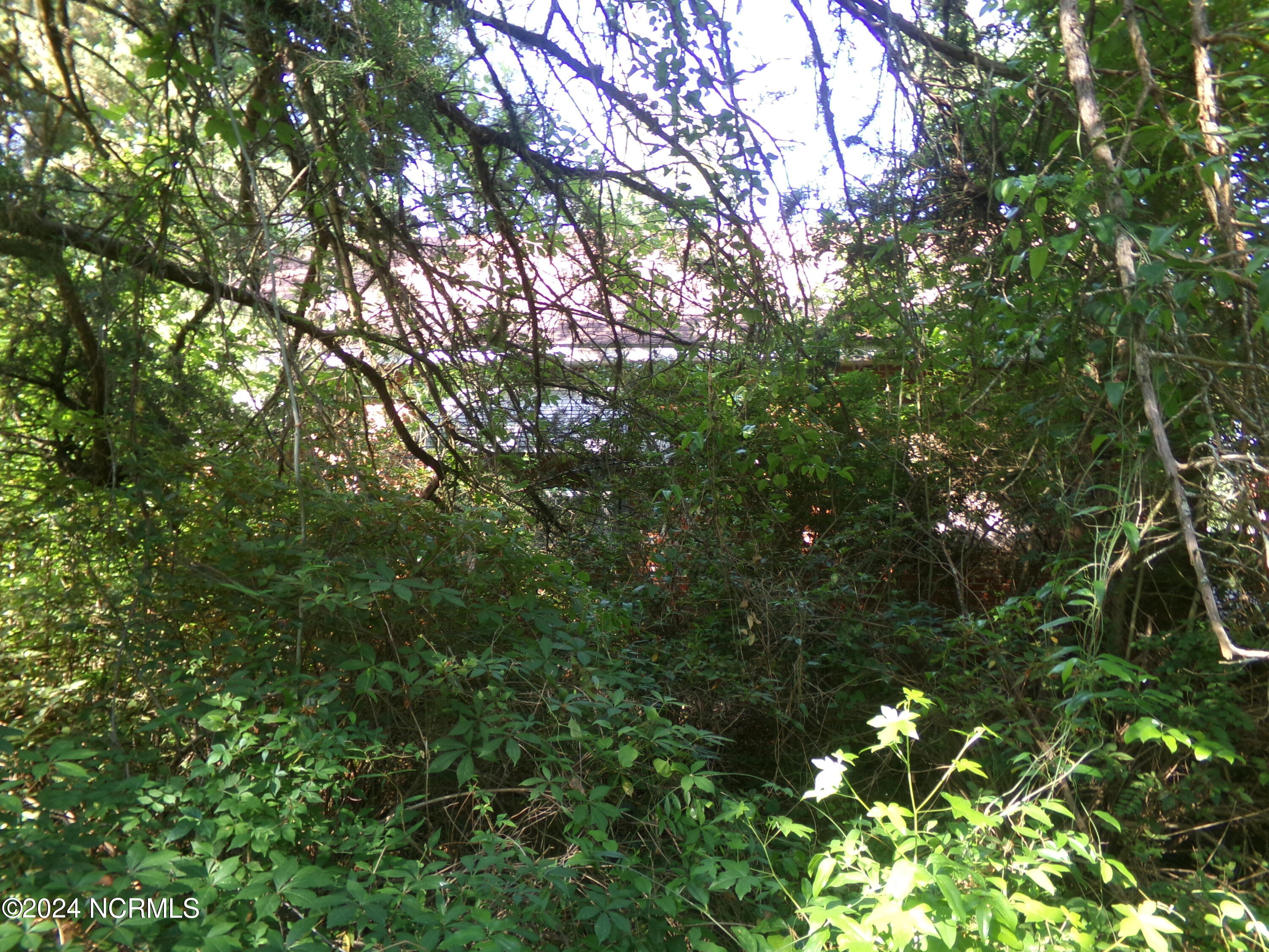1010 Academy Street Property Photo 3