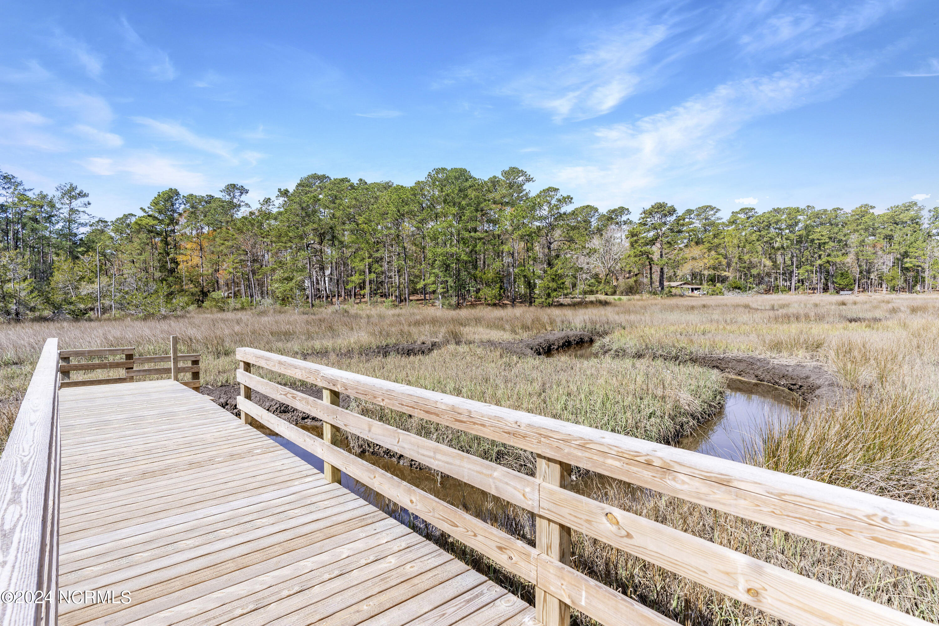 7229 Winding Marsh Court Property Photo 10