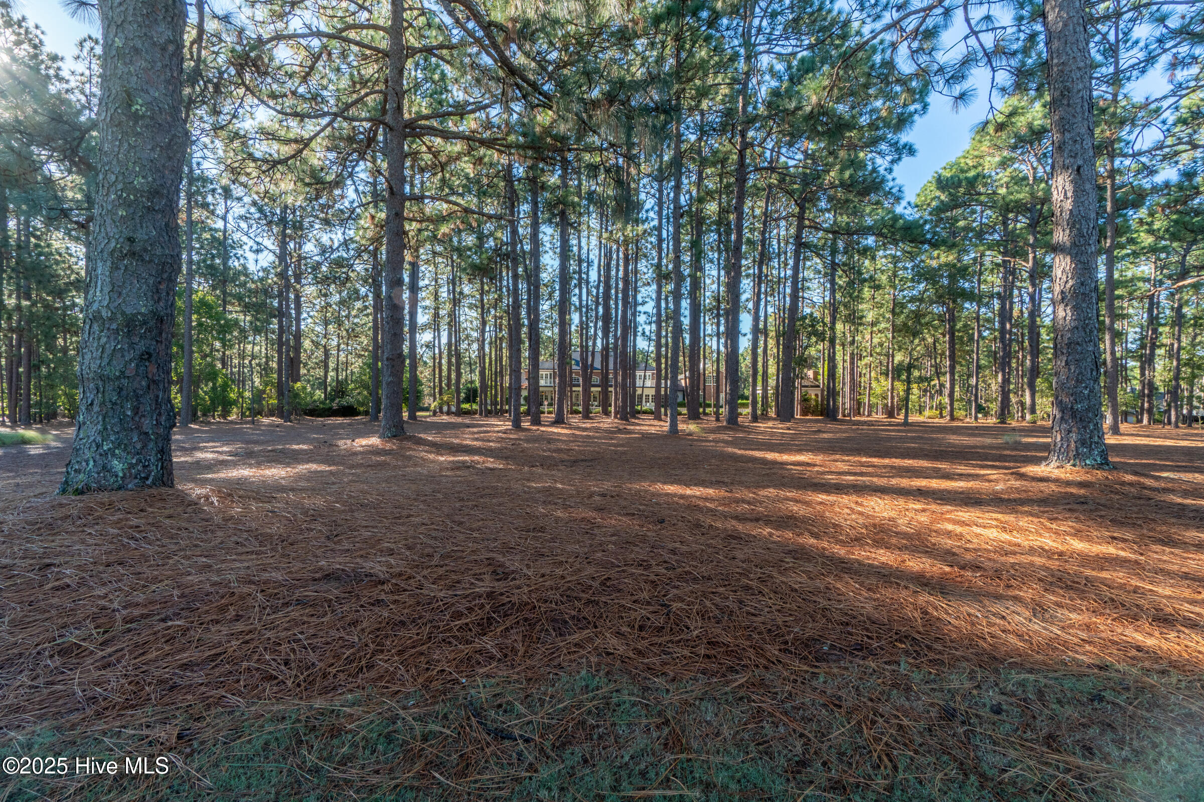70 Cypress Point Drive Property Photo 115