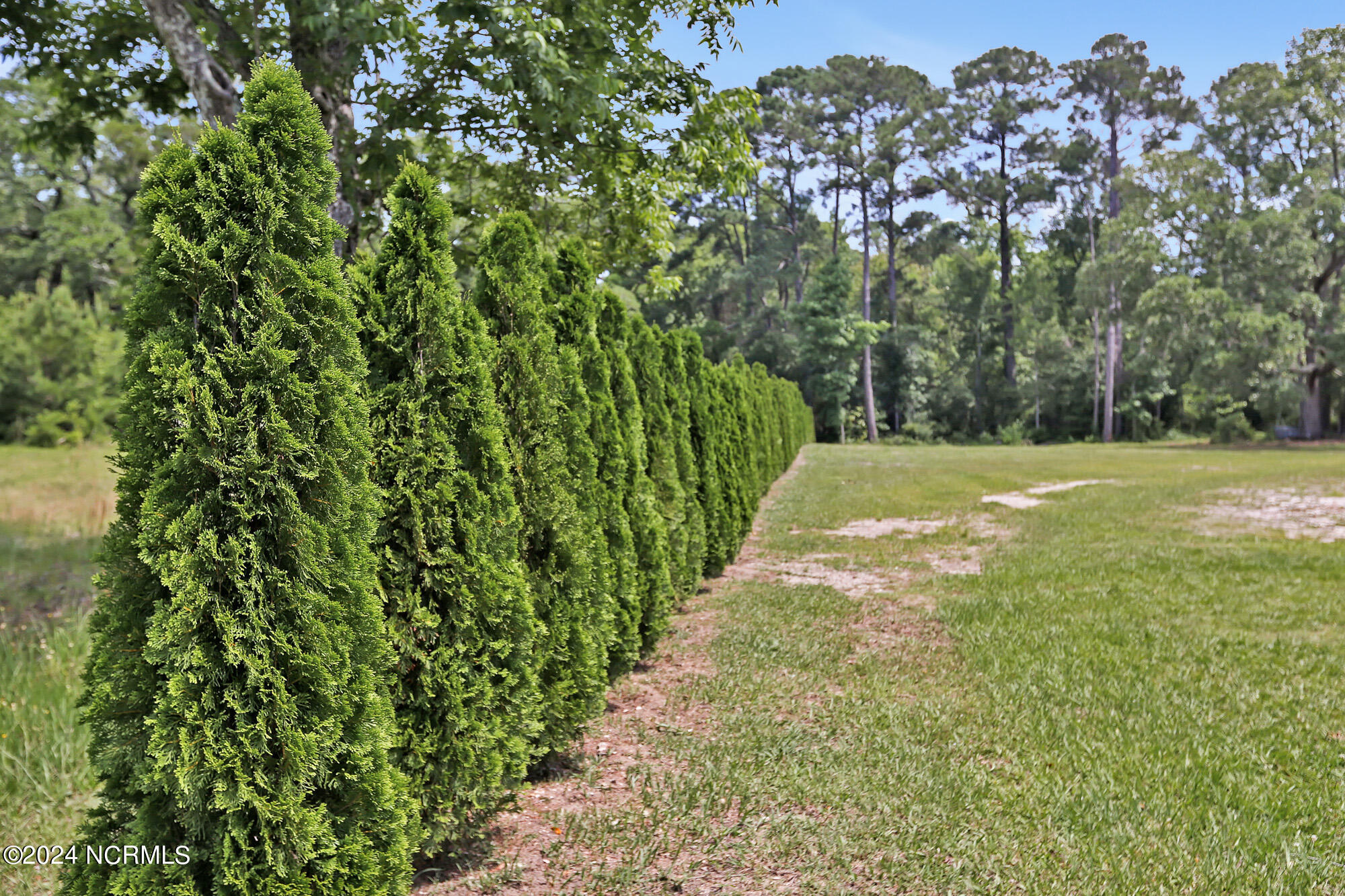 5301 Peden Point Road Property Photo 55
