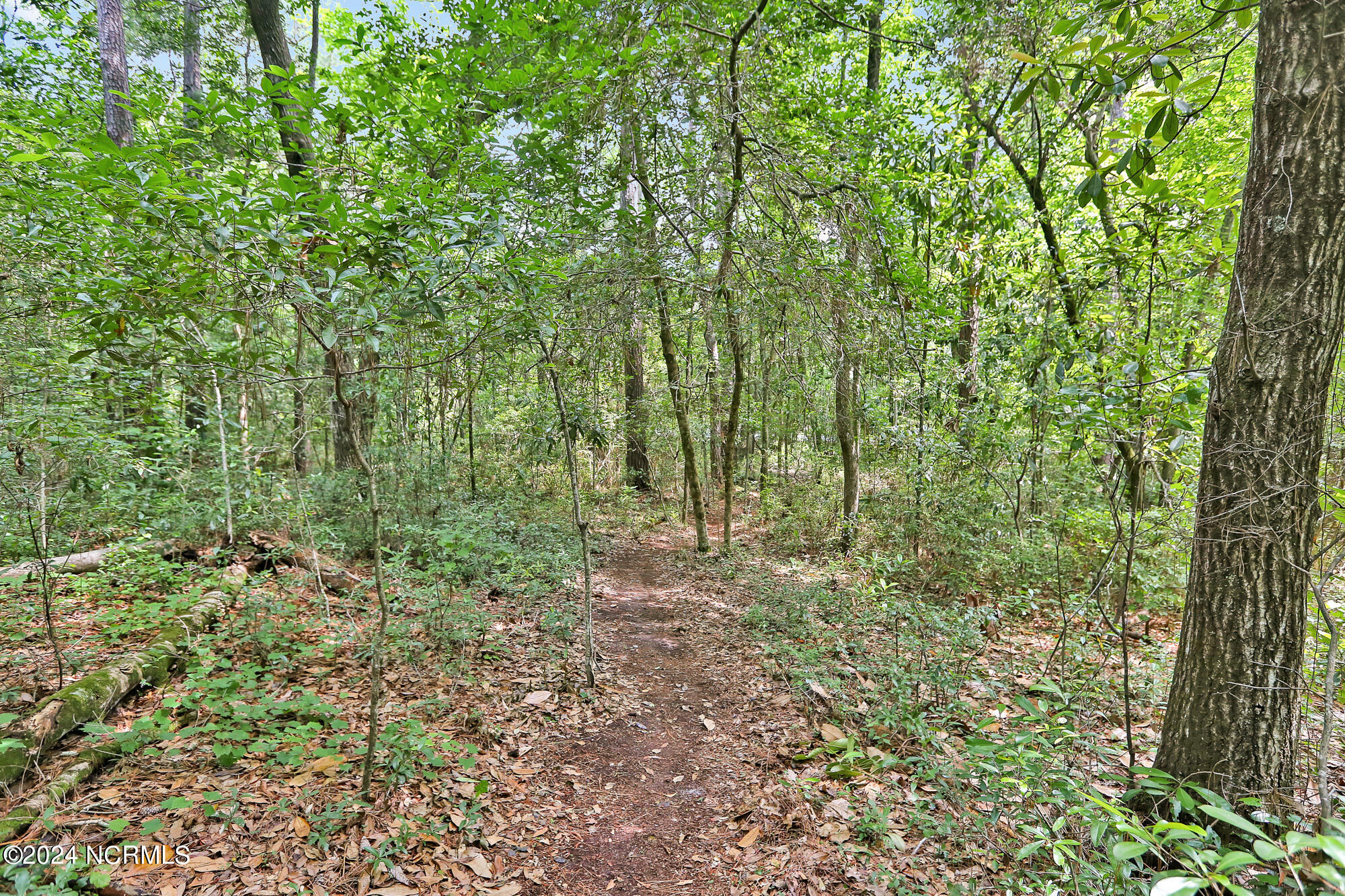 5301 Peden Point Road Property Photo 58