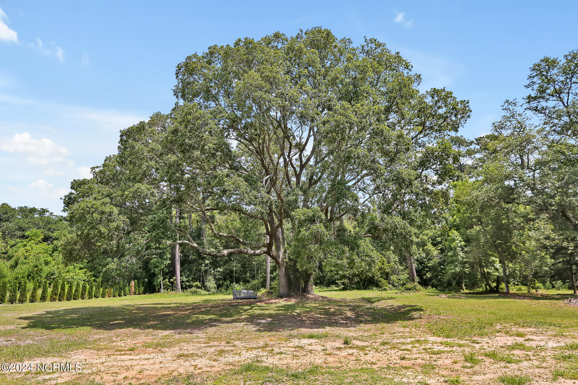 5301 Peden Point Road Property Photo 62