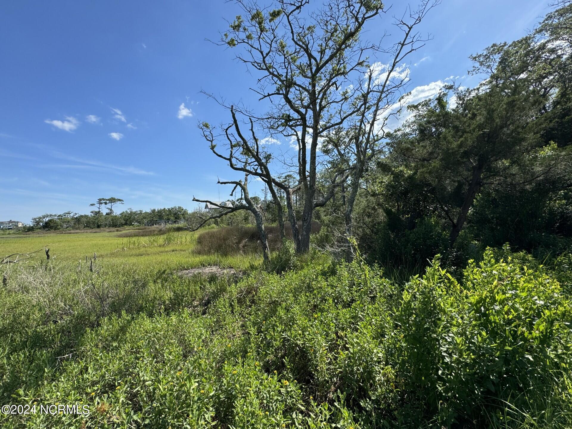 7701 Myrtle Grove Road Property Photo 3