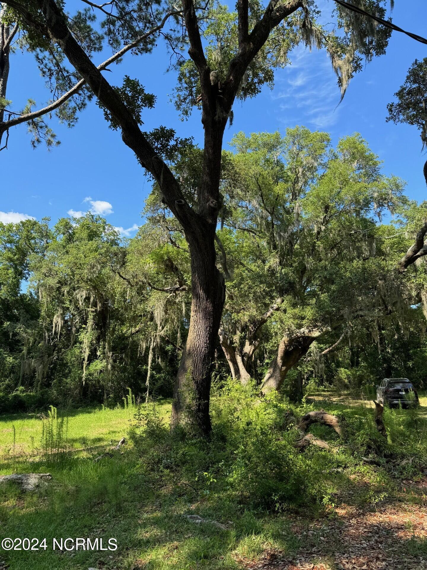 7701 Myrtle Grove Road Property Photo 10