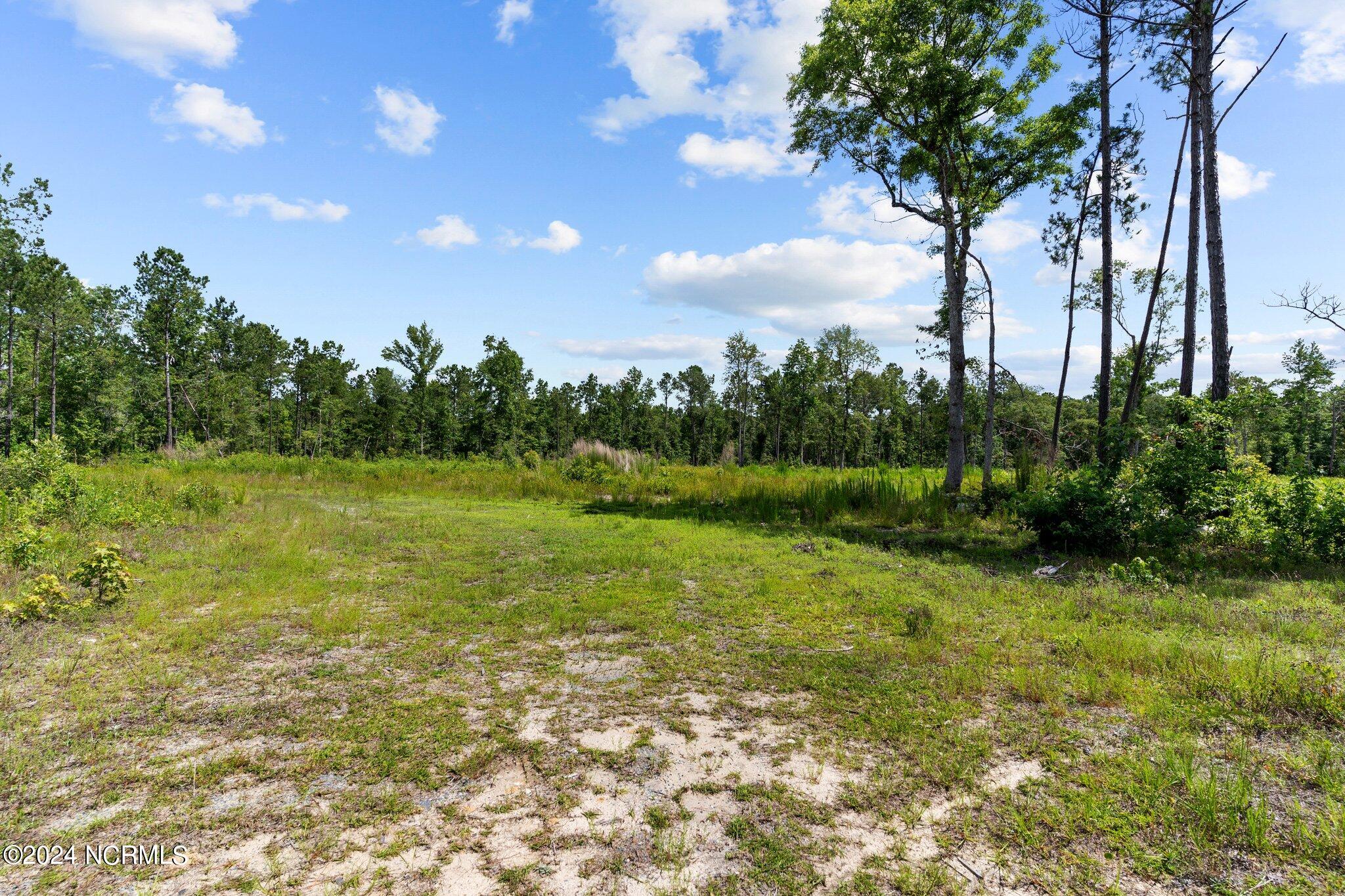 Tr 2a Southport-supply Road Property Photo 7