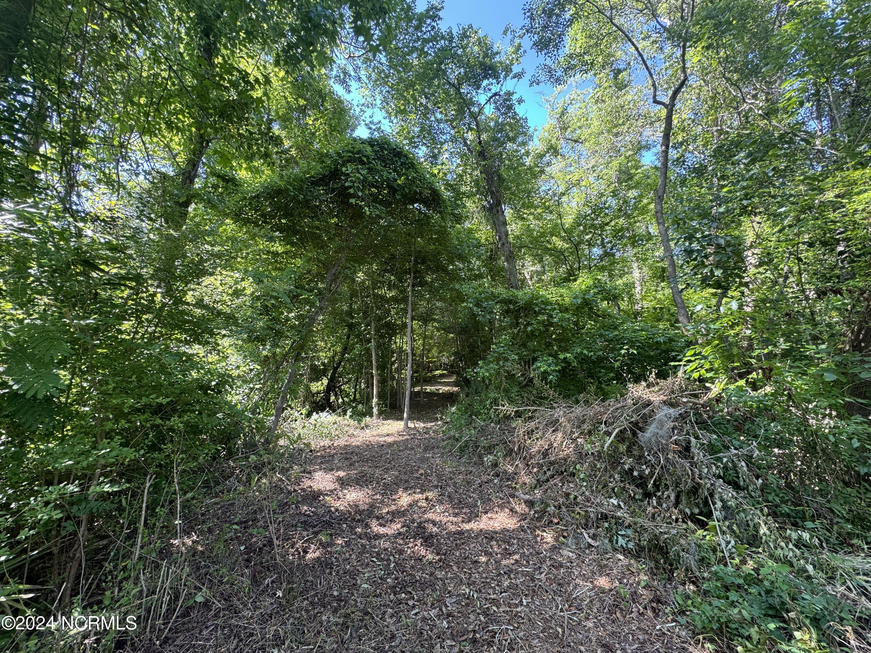 000 Hwy 133 Property Photo 33
