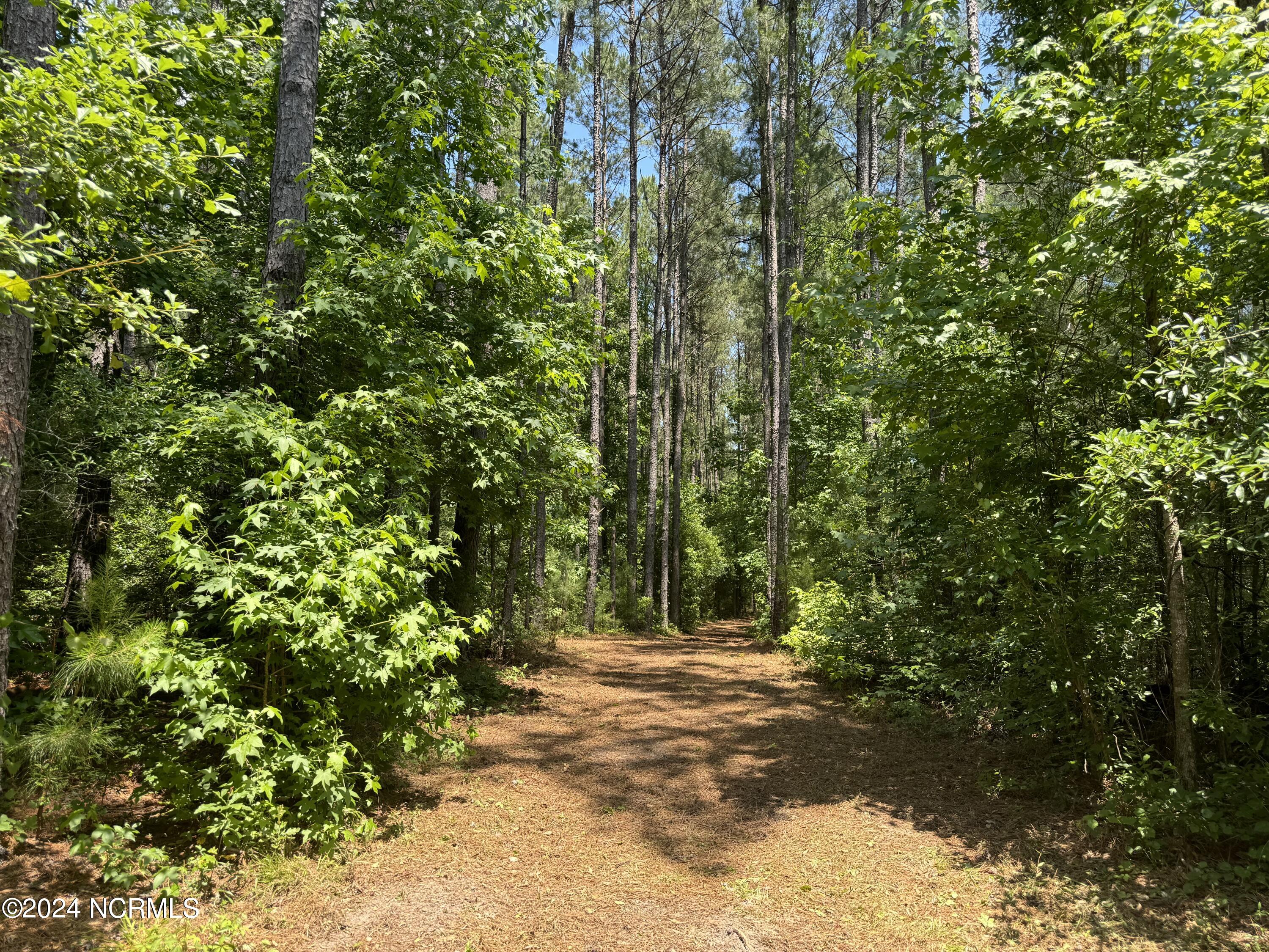 000 Hwy 133 Property Photo 34