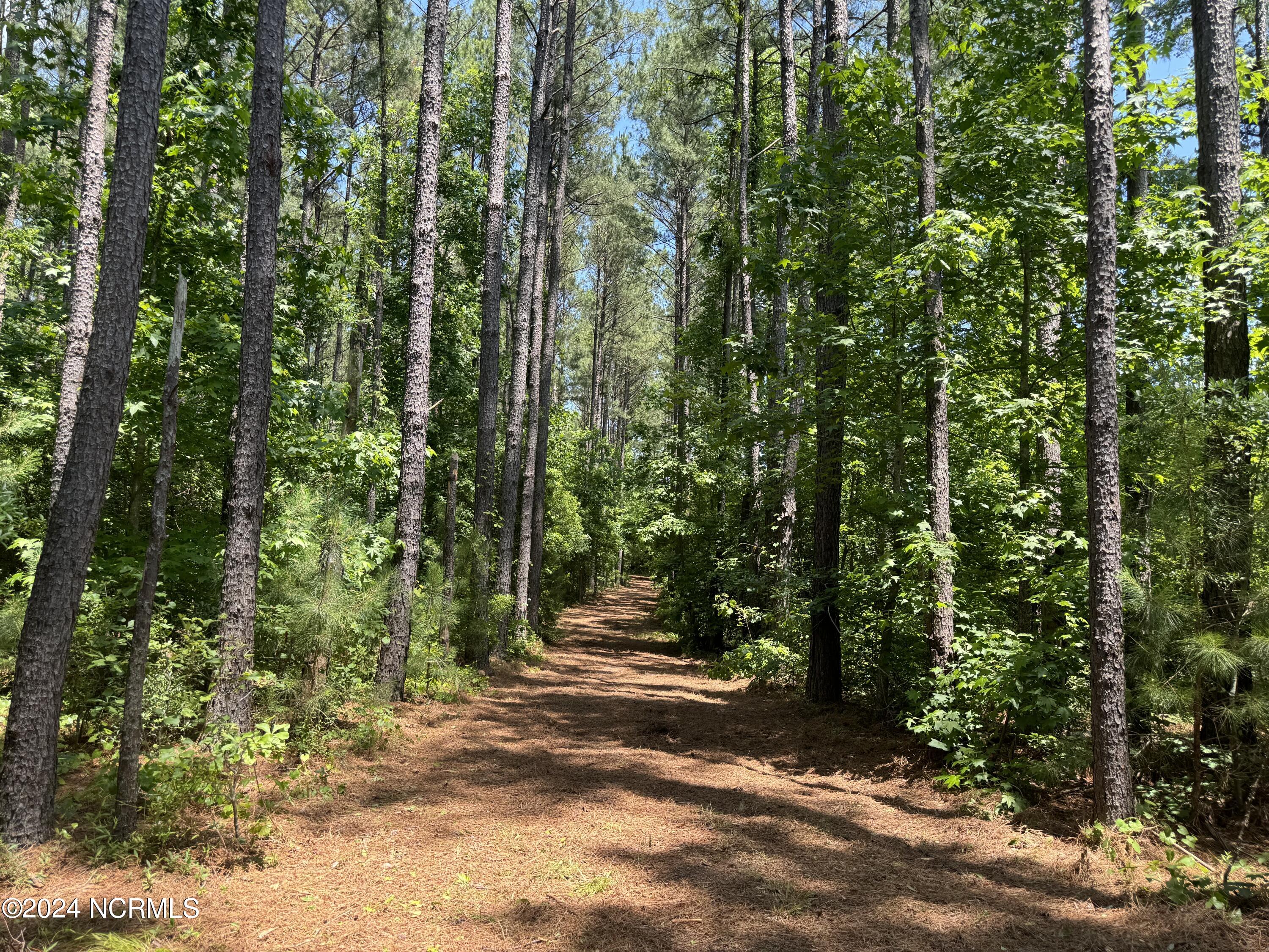 000 Hwy 133 Property Photo 35