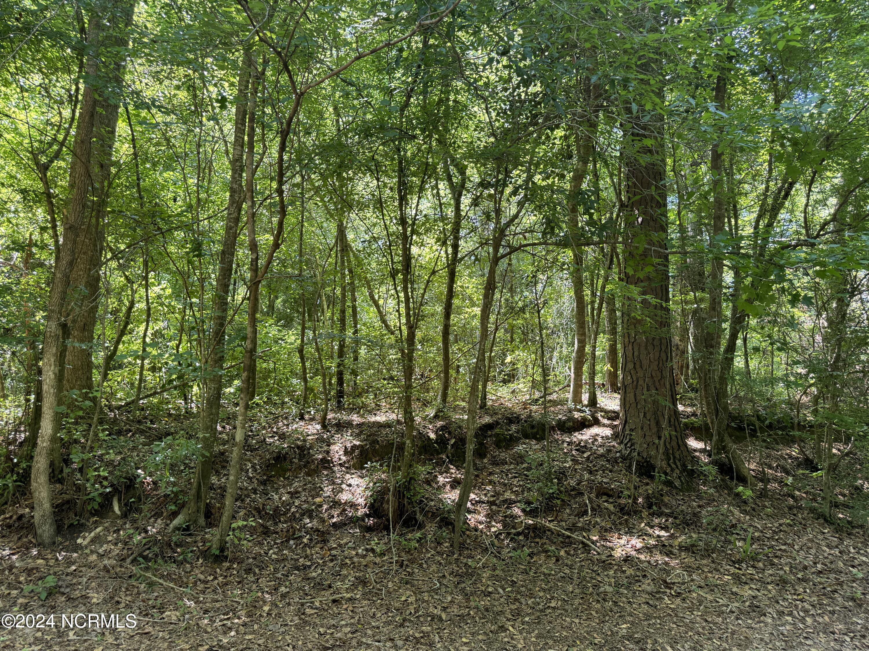 000 Hwy 133 Property Photo 40