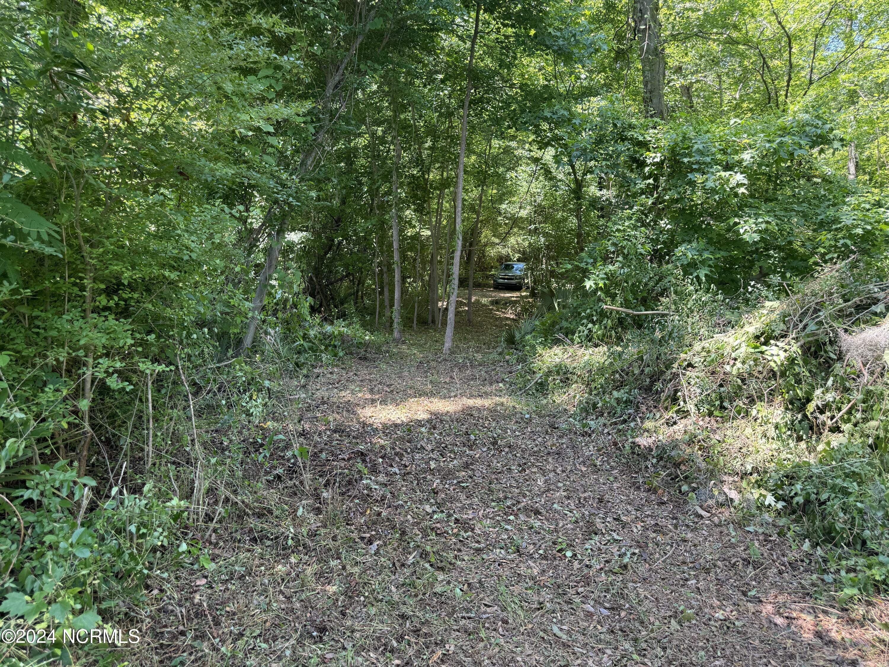 000 Hwy 133 Property Photo 41