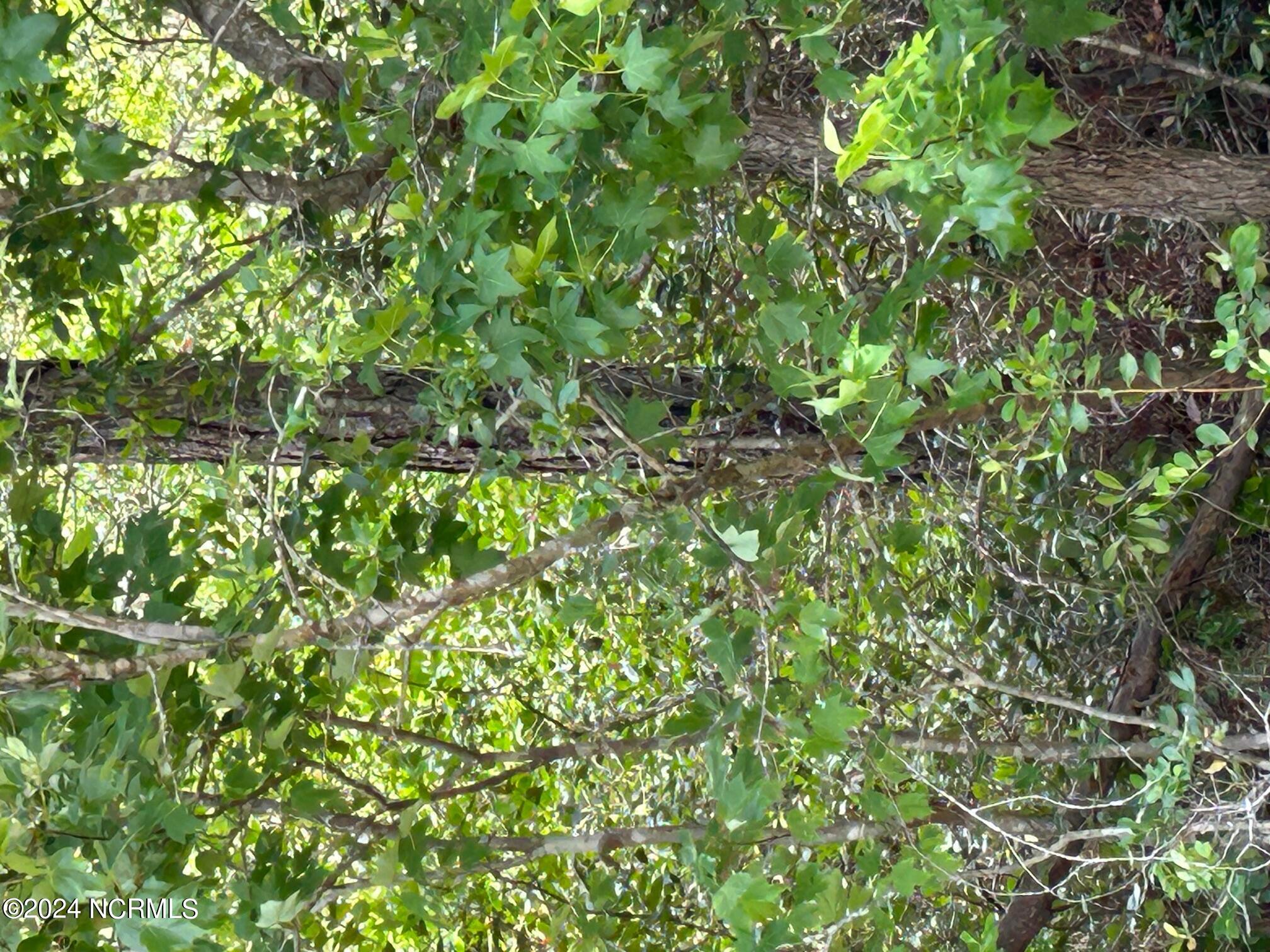 1773 658-655 Beech Road Property Photo 1