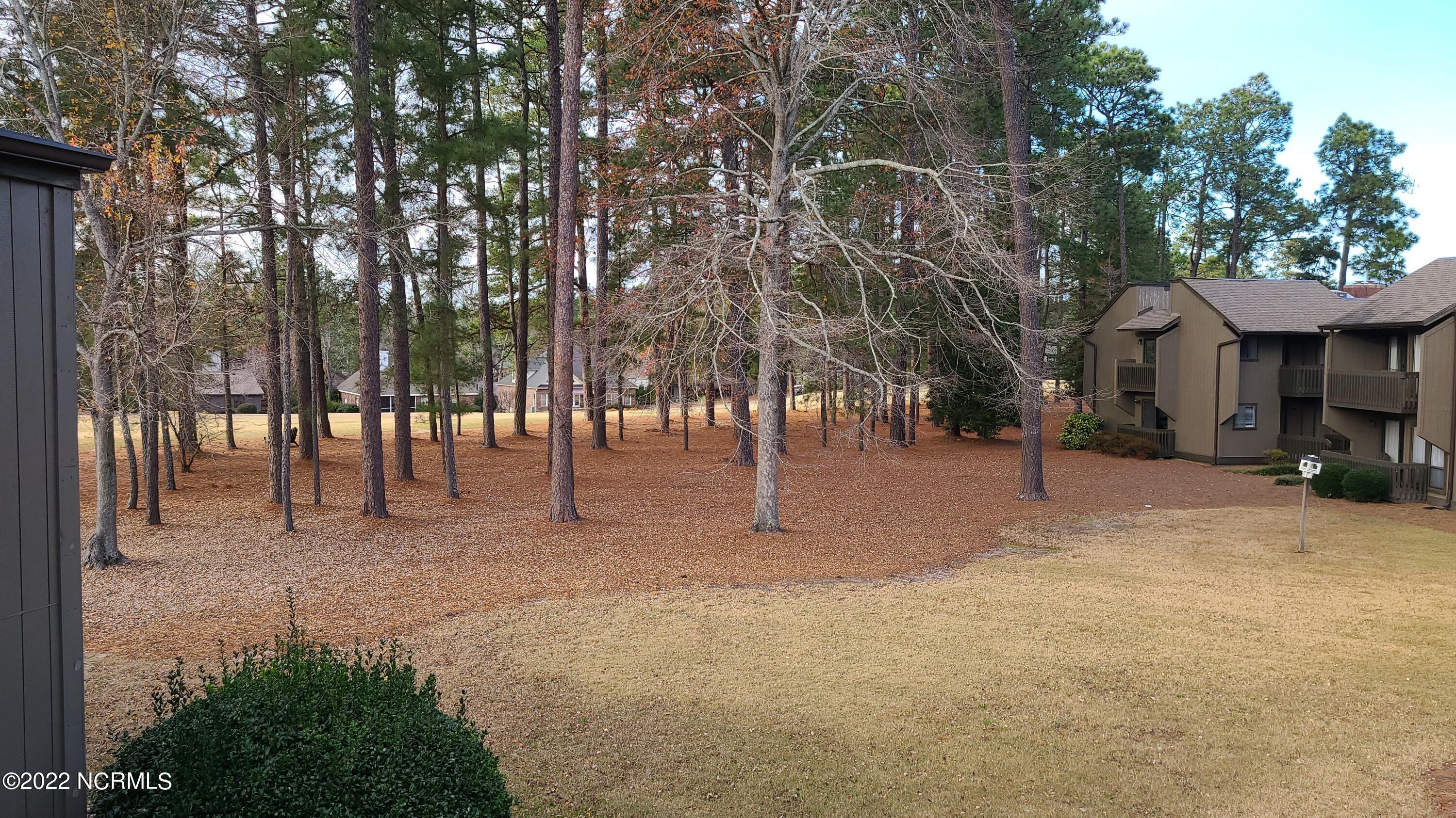 10 Pine Tree Road # 214 Property Photo 15
