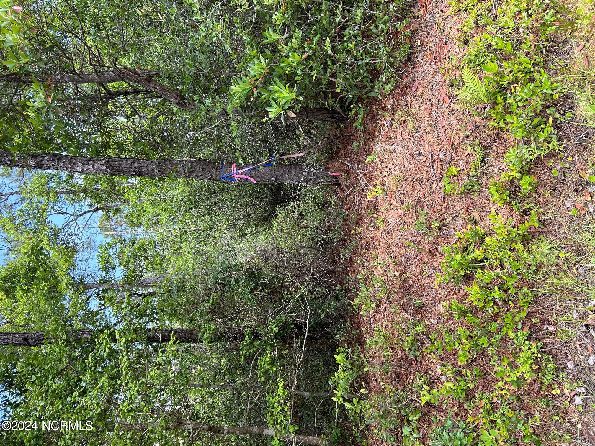 1695 665-661 Beech Road Property Photo 1
