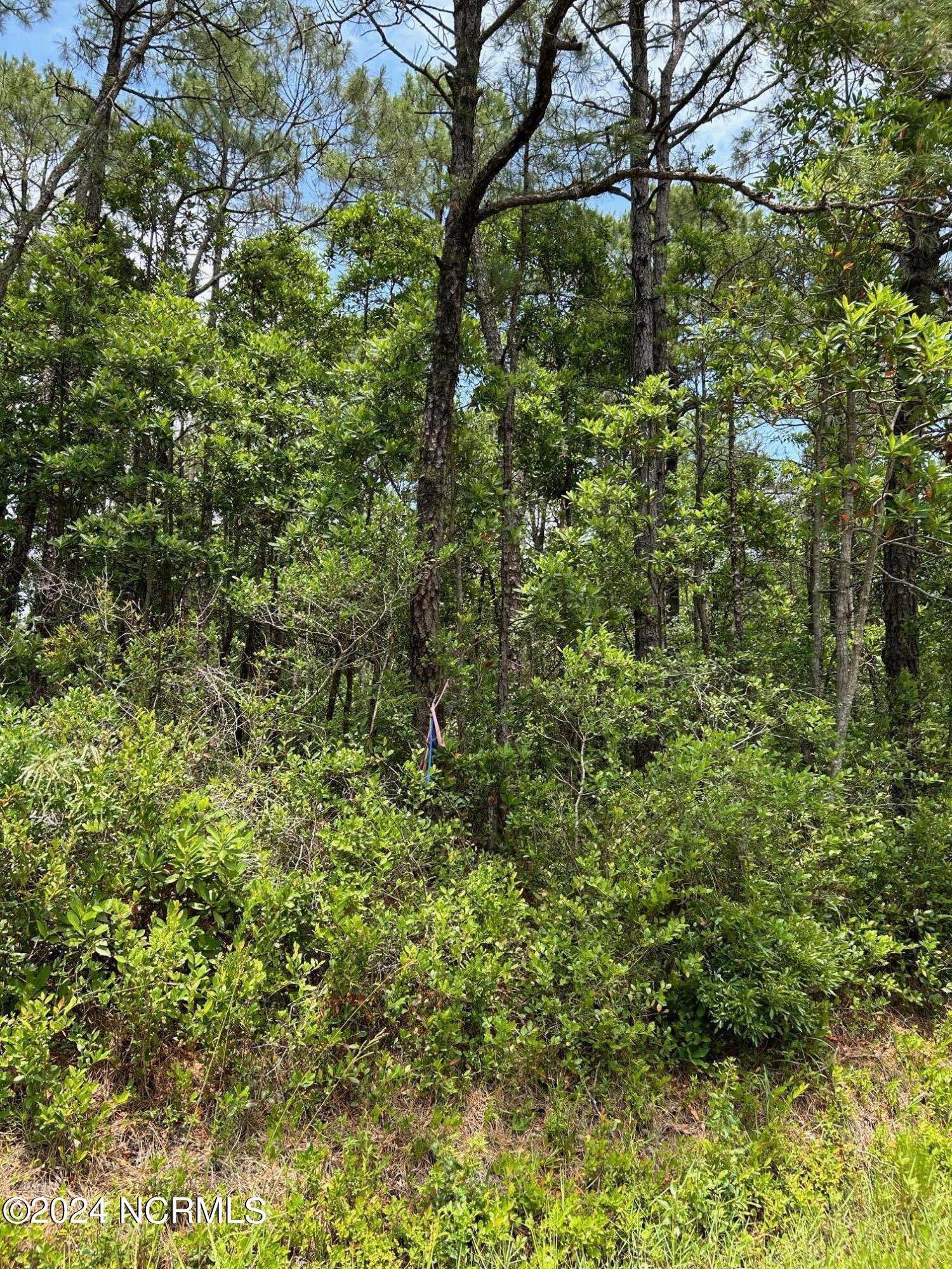 1695 Beech Road Property Photo 2