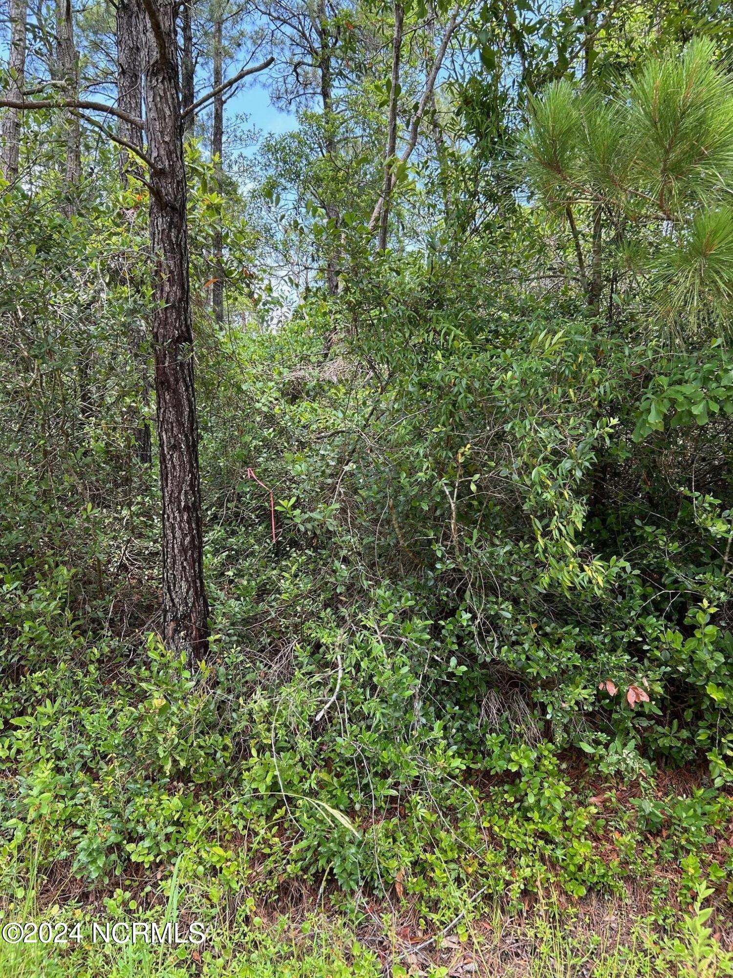 1695 Beech Road Property Photo 3