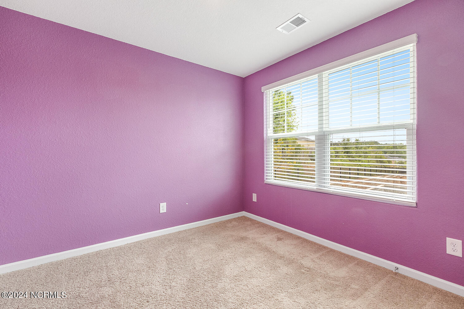 100 Chandler Court Property Photo 34