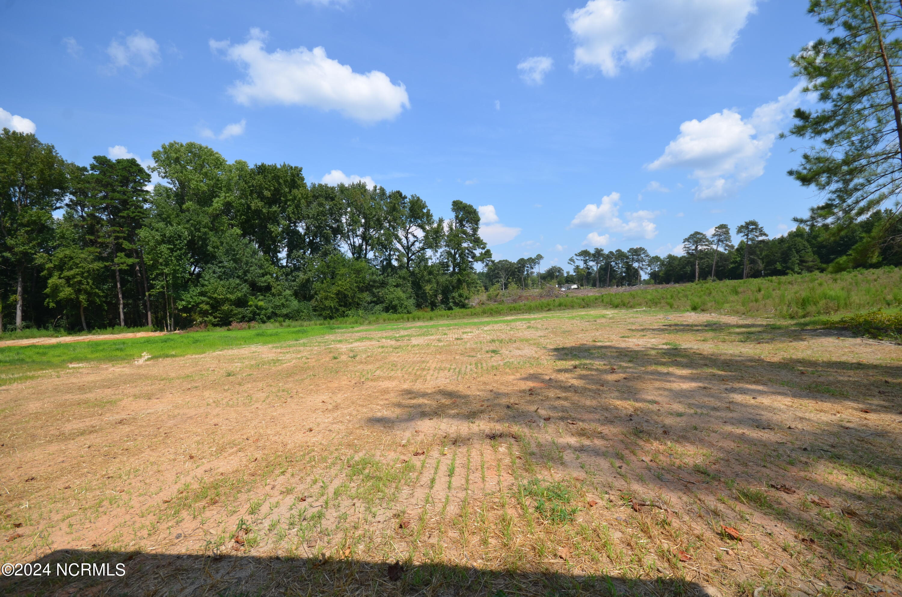 1300 Lamms Grove Road Property Photo 40