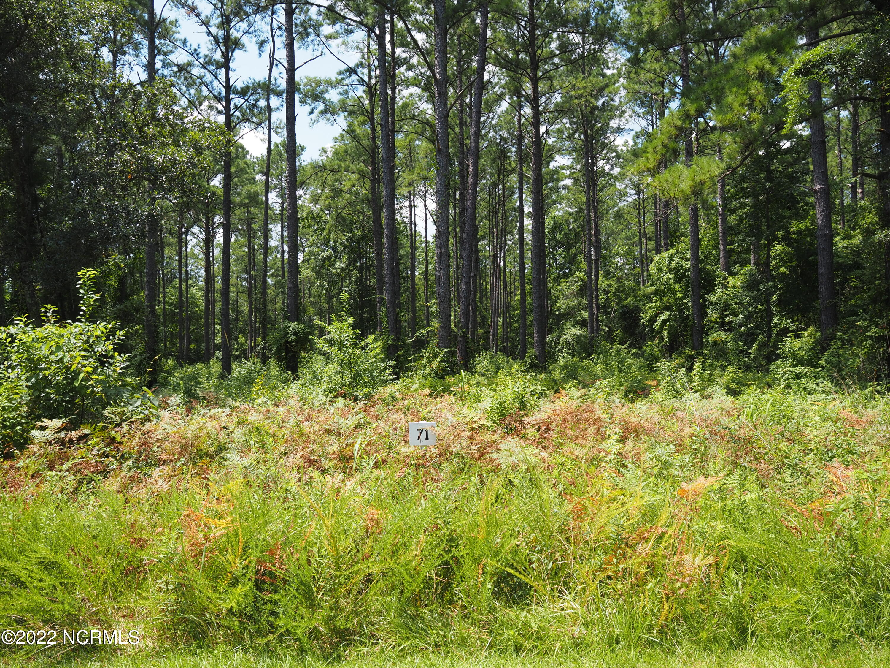 120 Cedarwood Property Photo 1