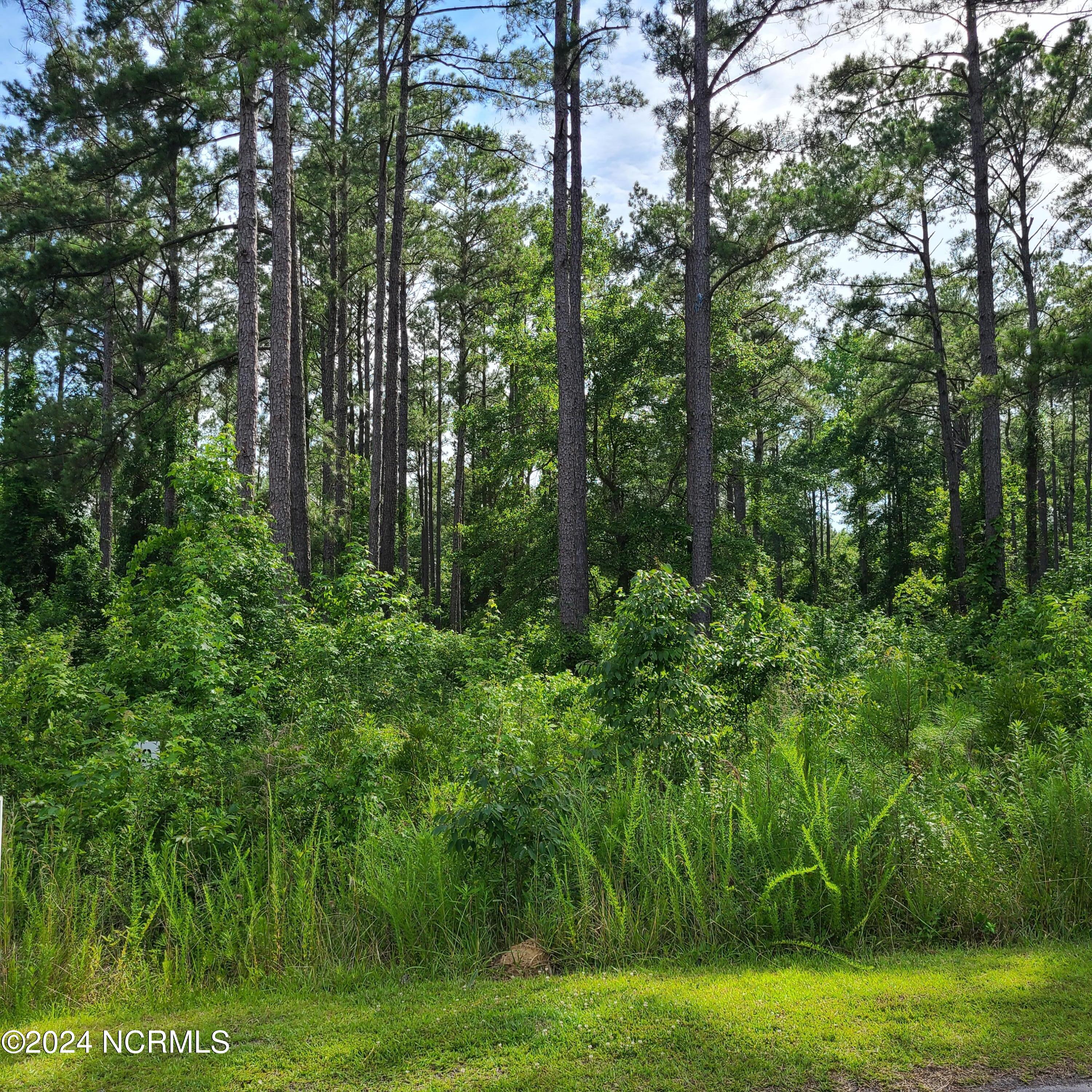 124 Cedarwood Property Photo 2